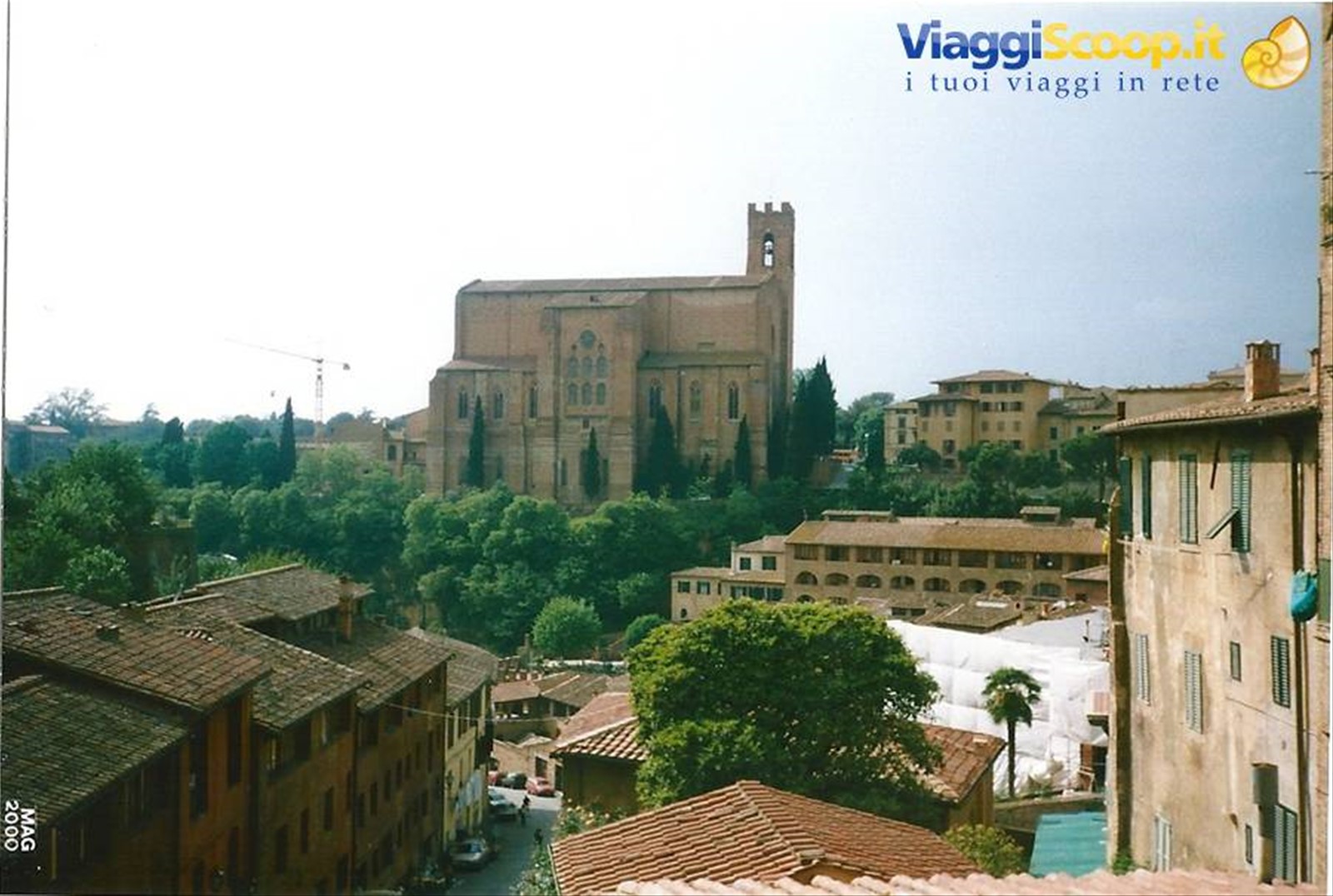 SIENA - S. Domenico