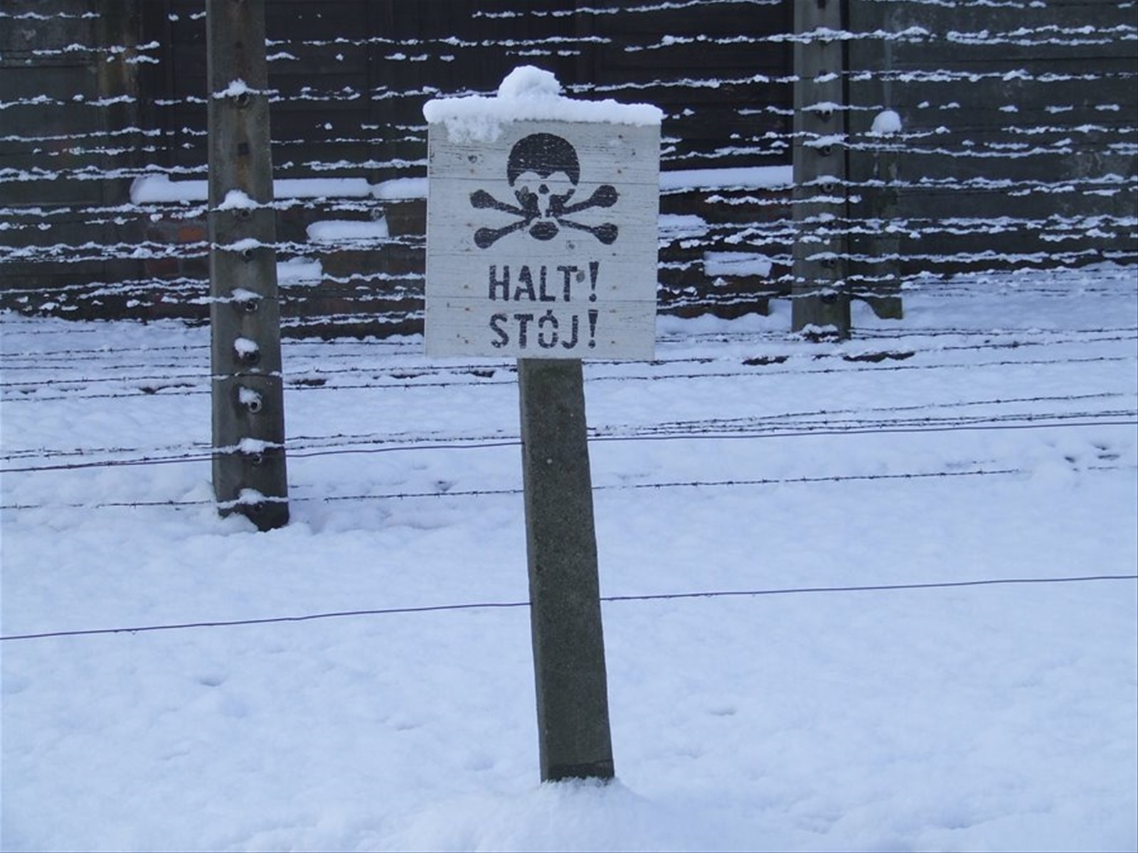 AUSCHWITZ
