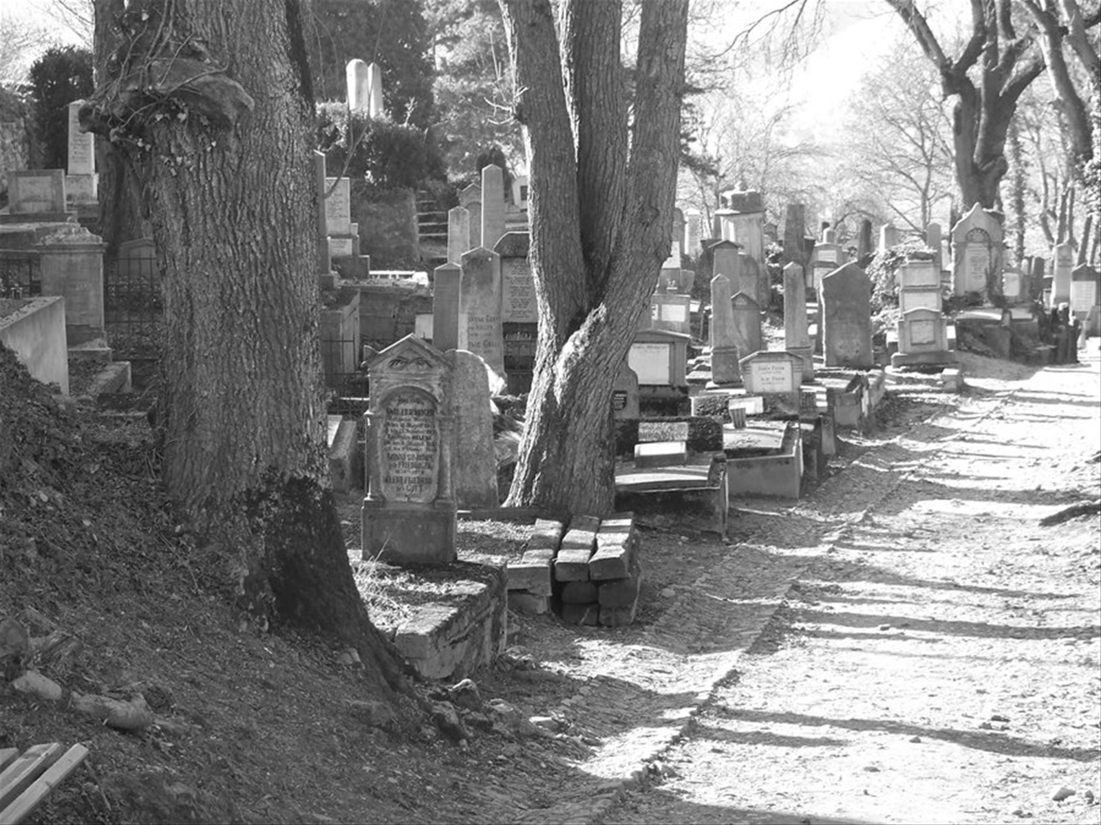 SIGHISOARA - Cimitero Sassone