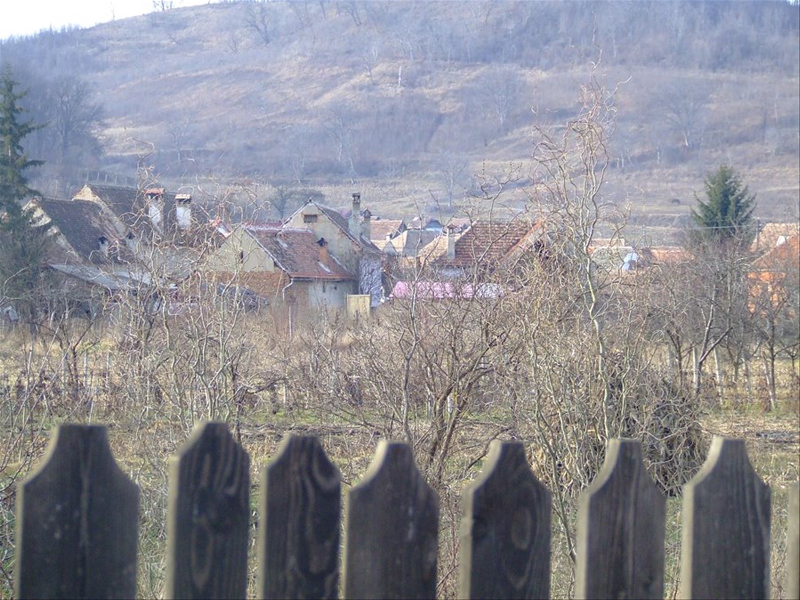 MOSNA - Panorama parziale