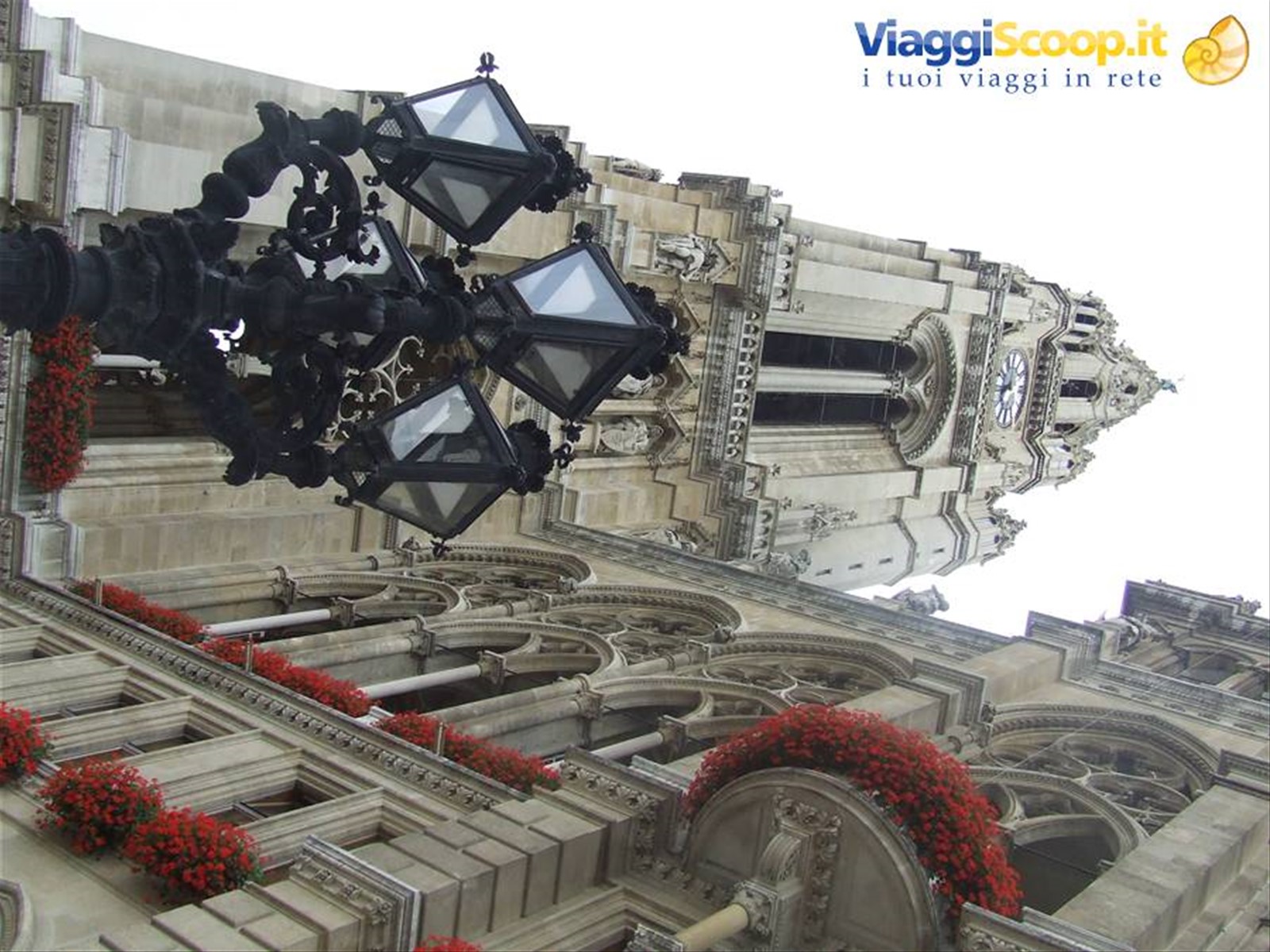VIENNA - il Municipio