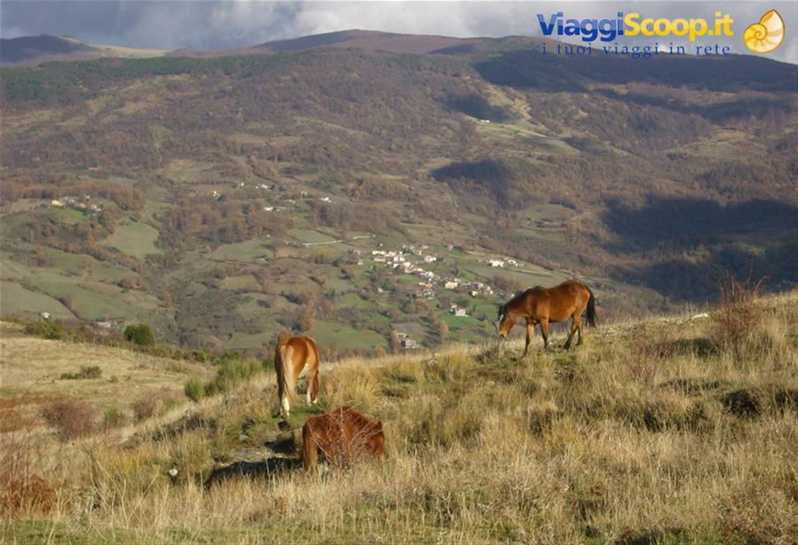 Foto di viaggio in ITALIA