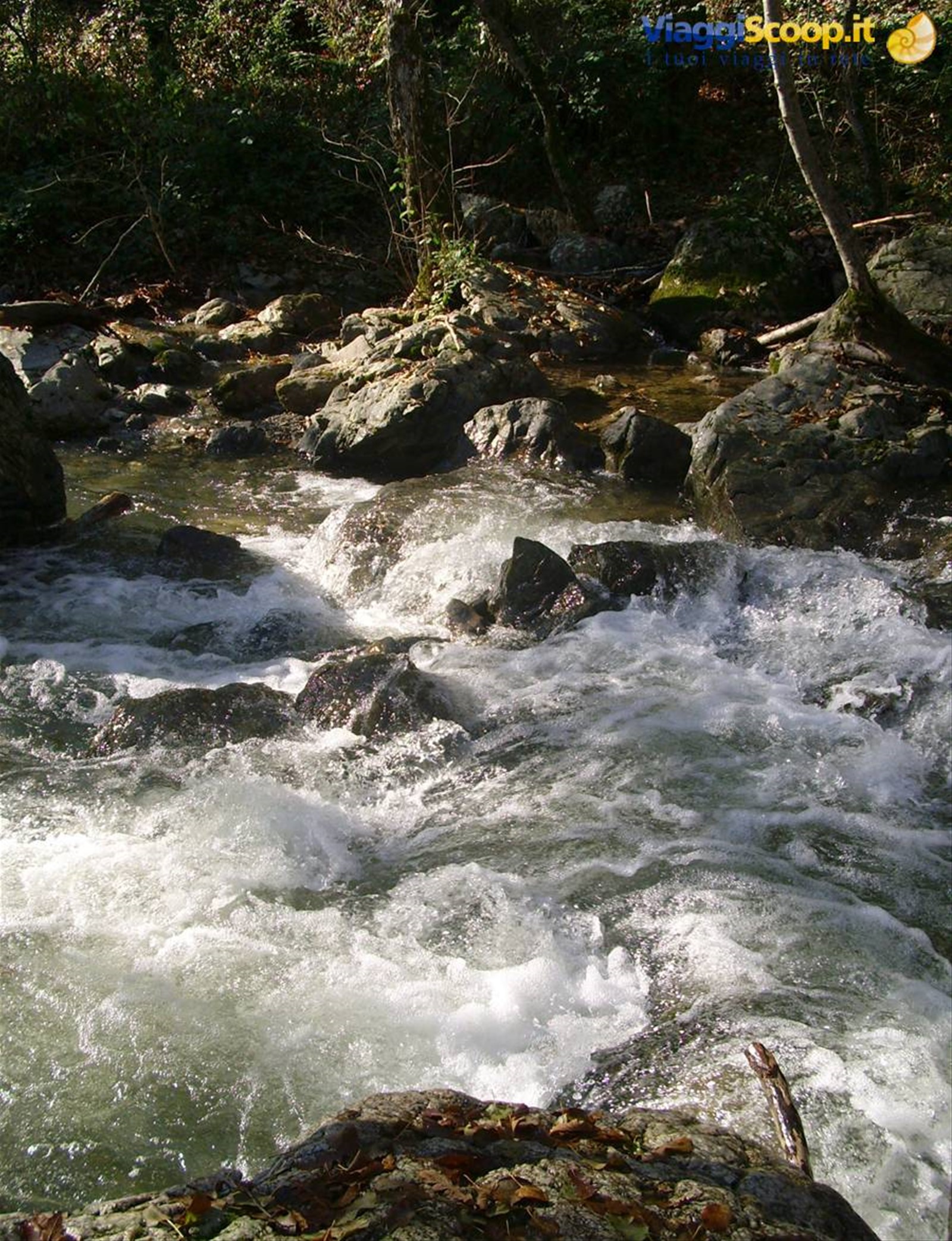 Foto di viaggio in ITALIA