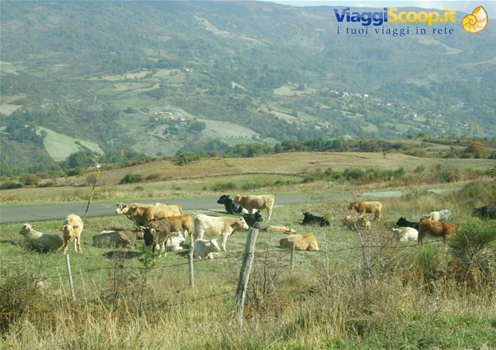 Foto di viaggio in ITALIA