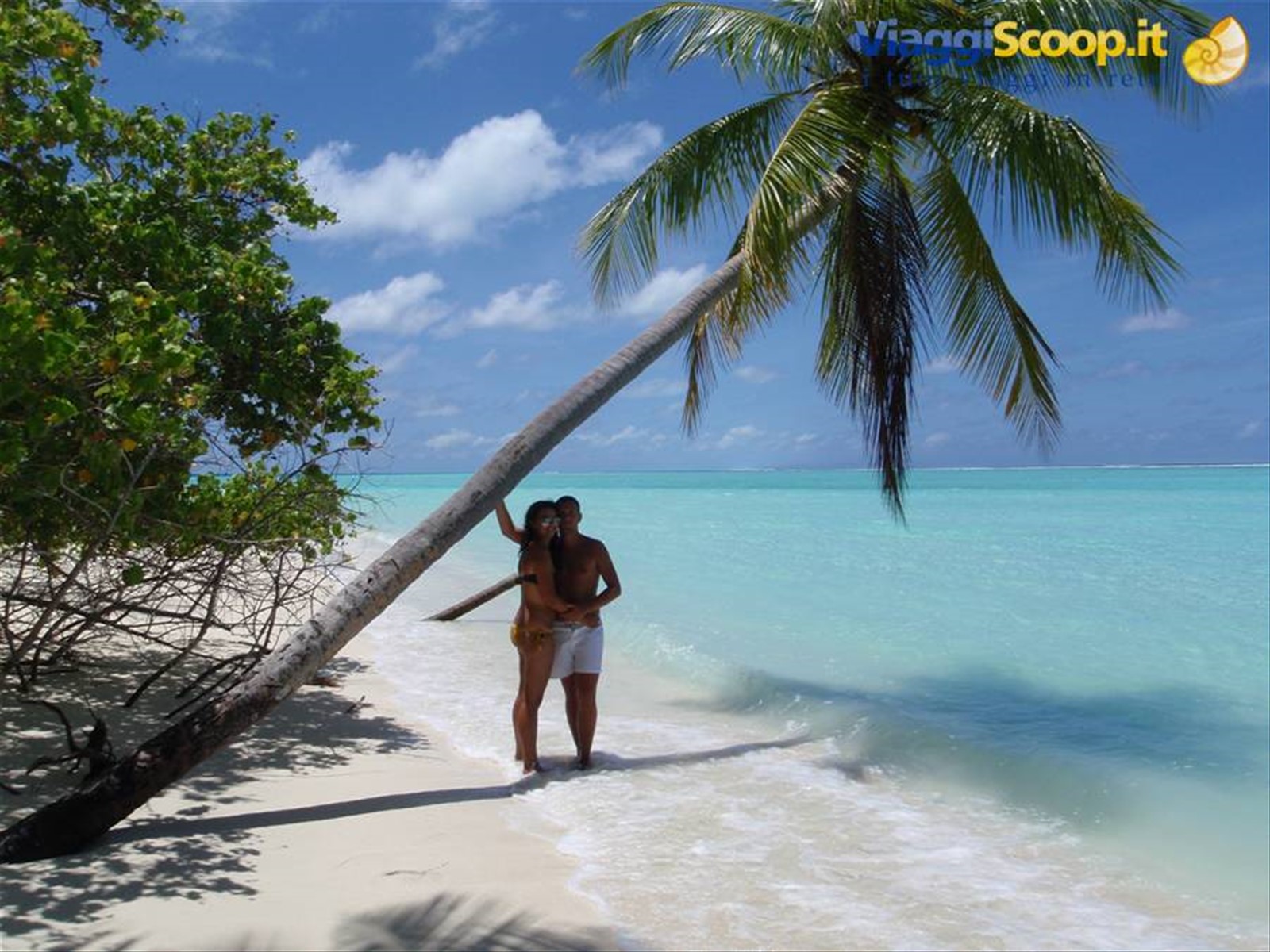 Foto di viaggio in MALDIVE