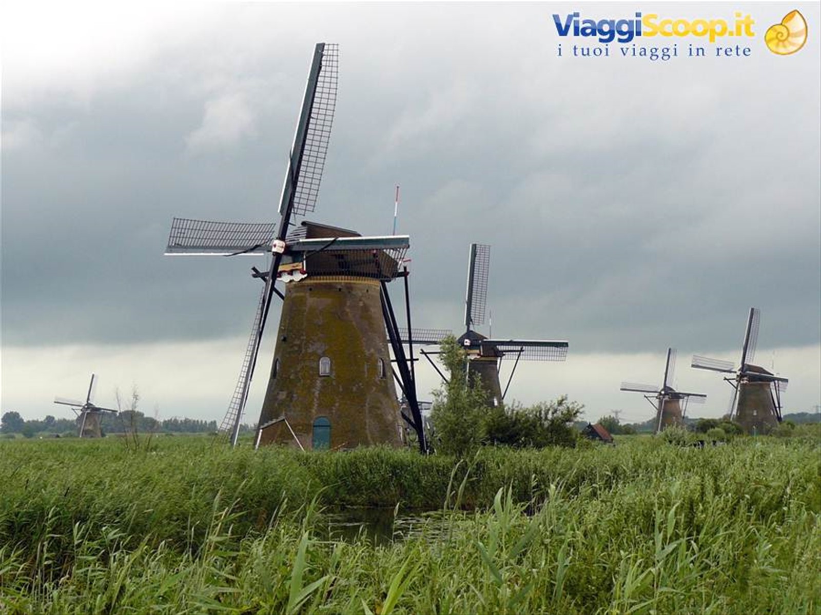 Kinderdijk