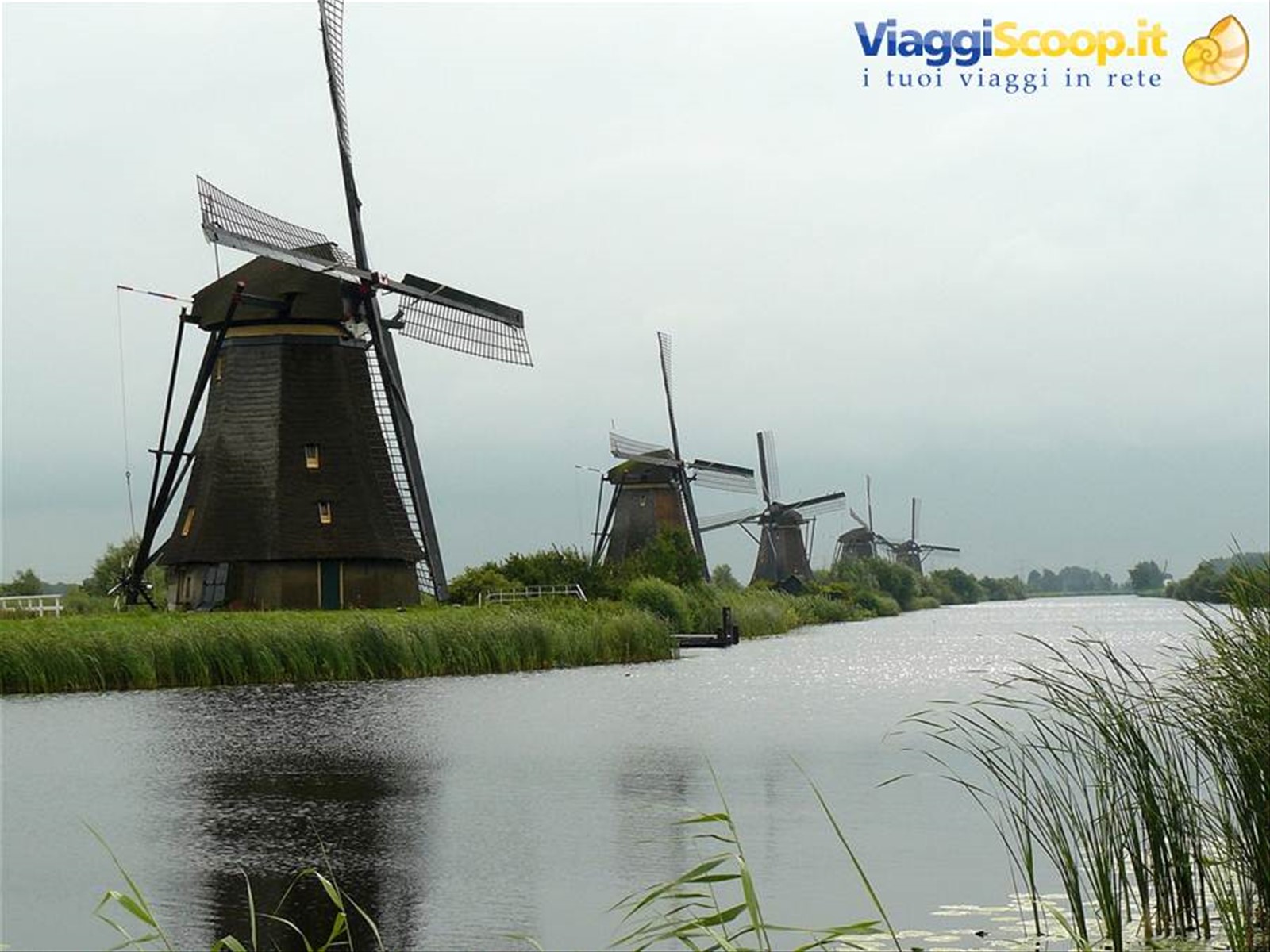Kinderdijk