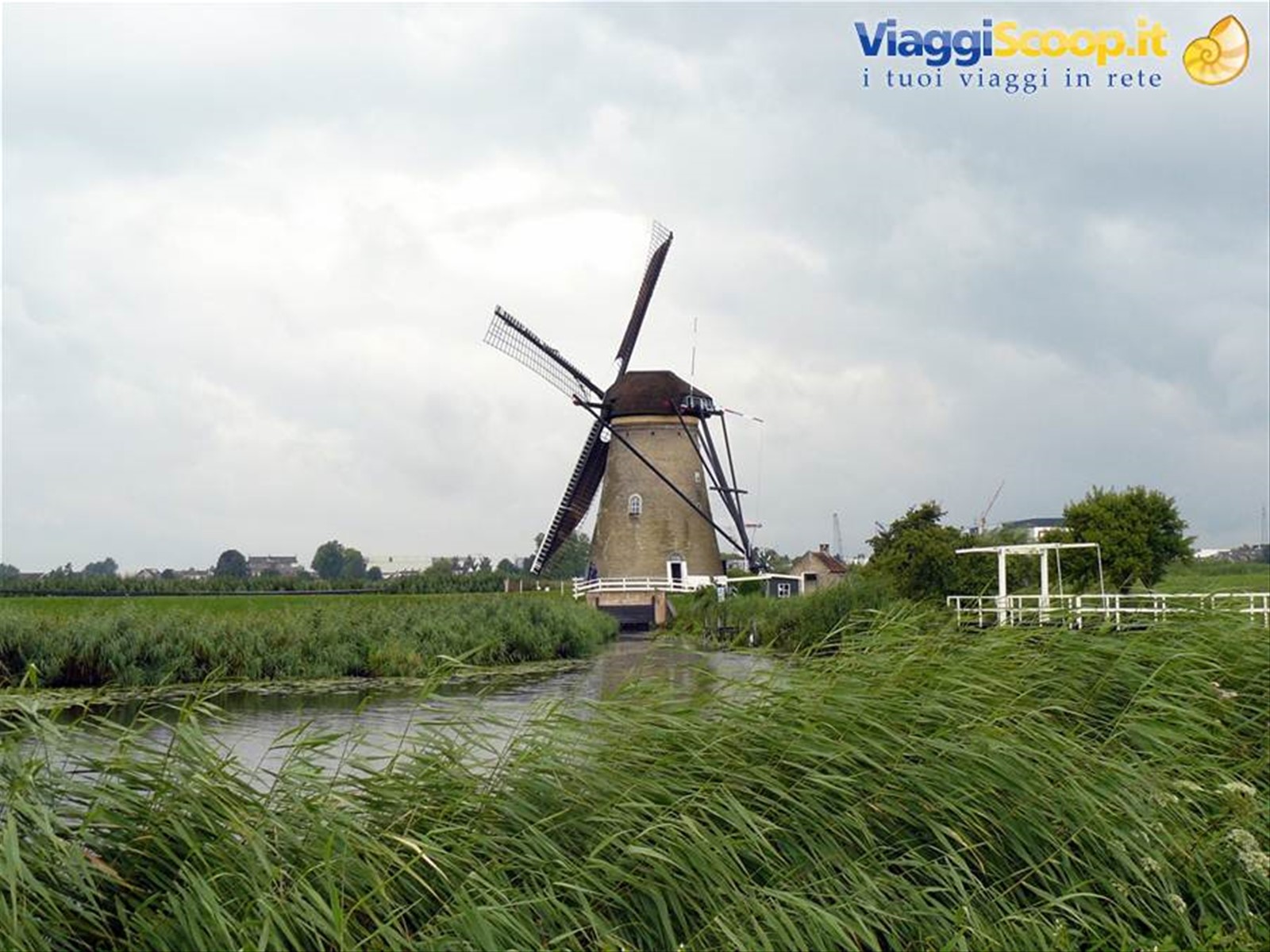Kinderdijk