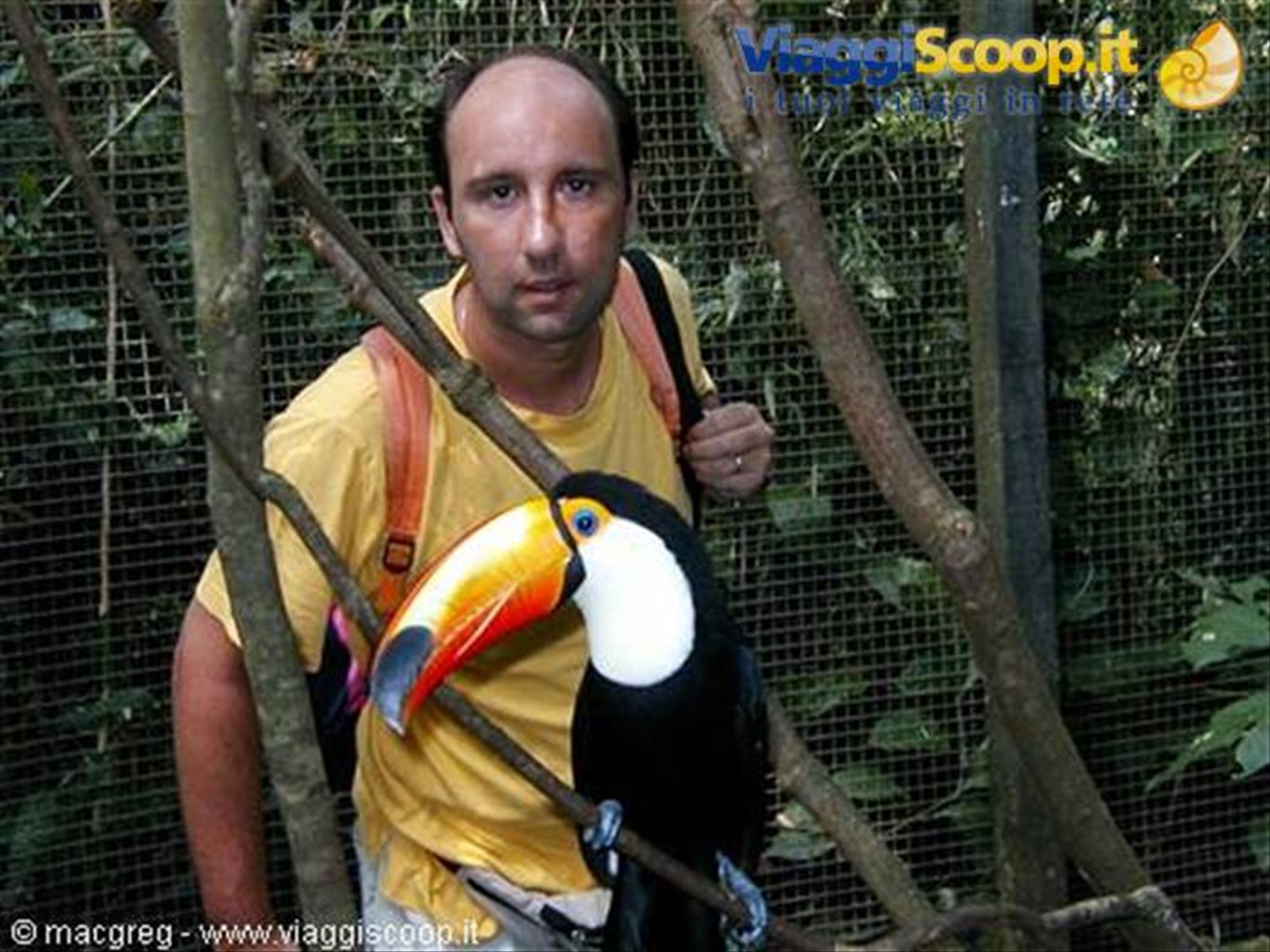Tucano