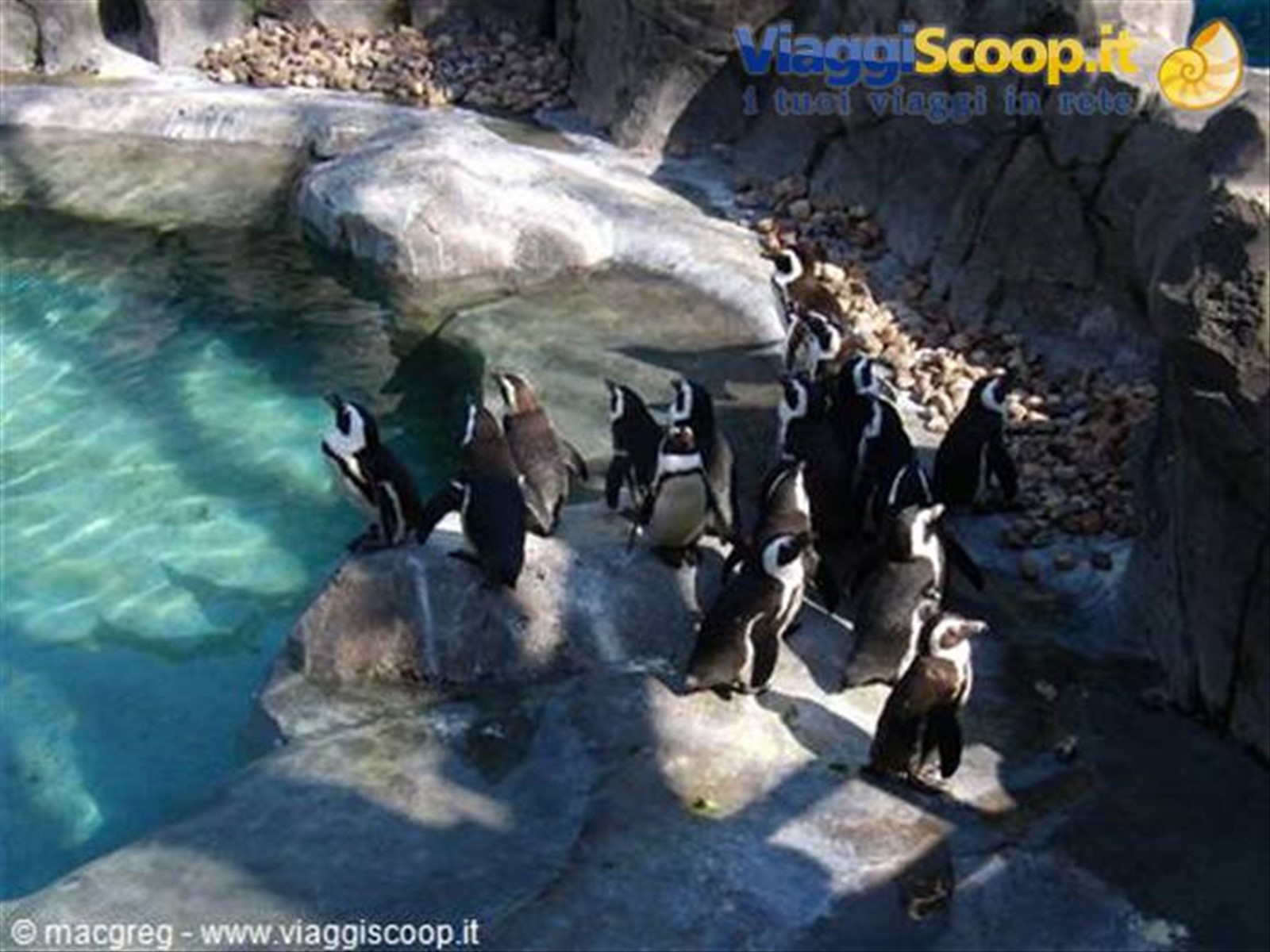 Zoo Acquario
