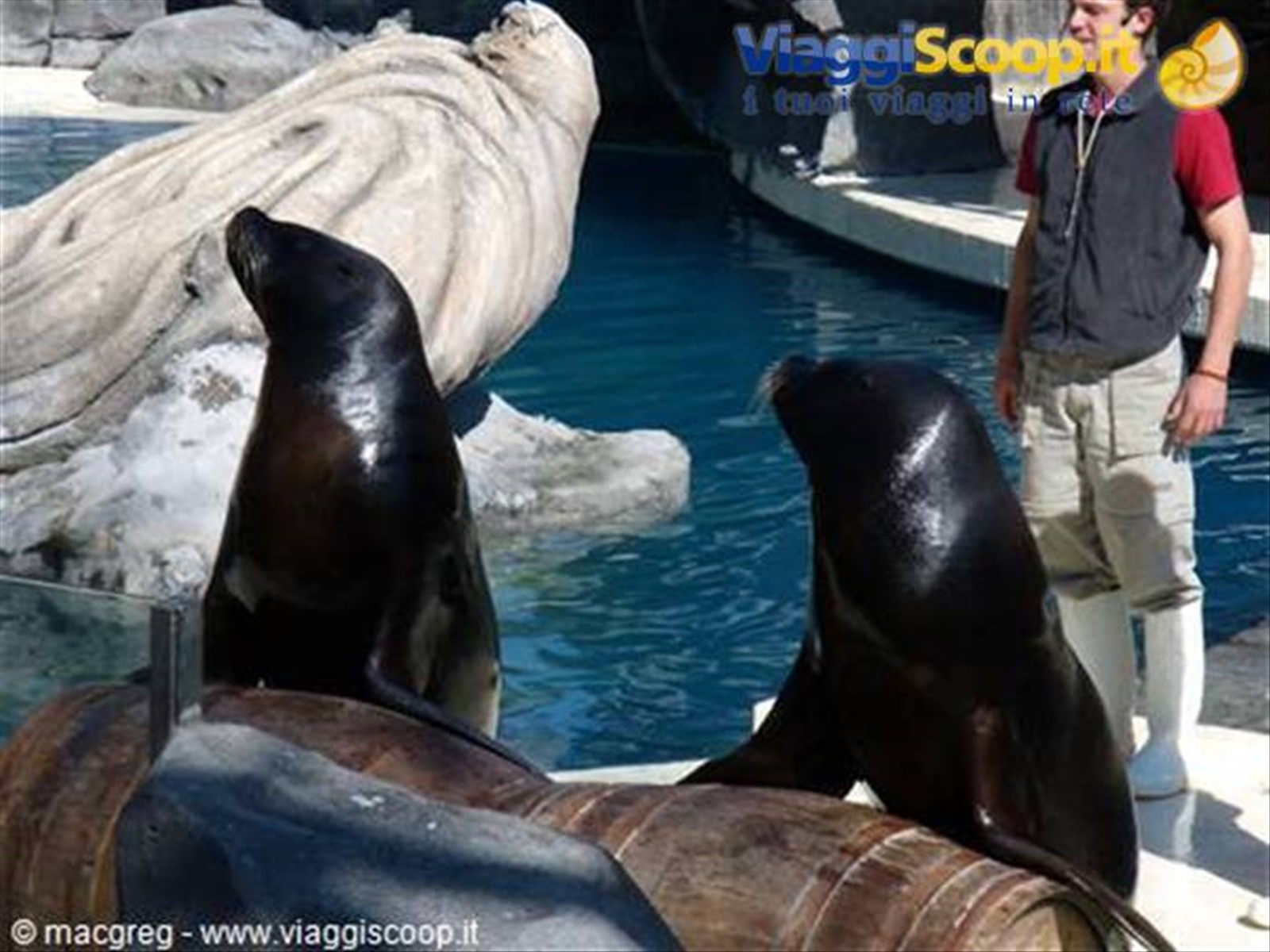 Zoo Acquario