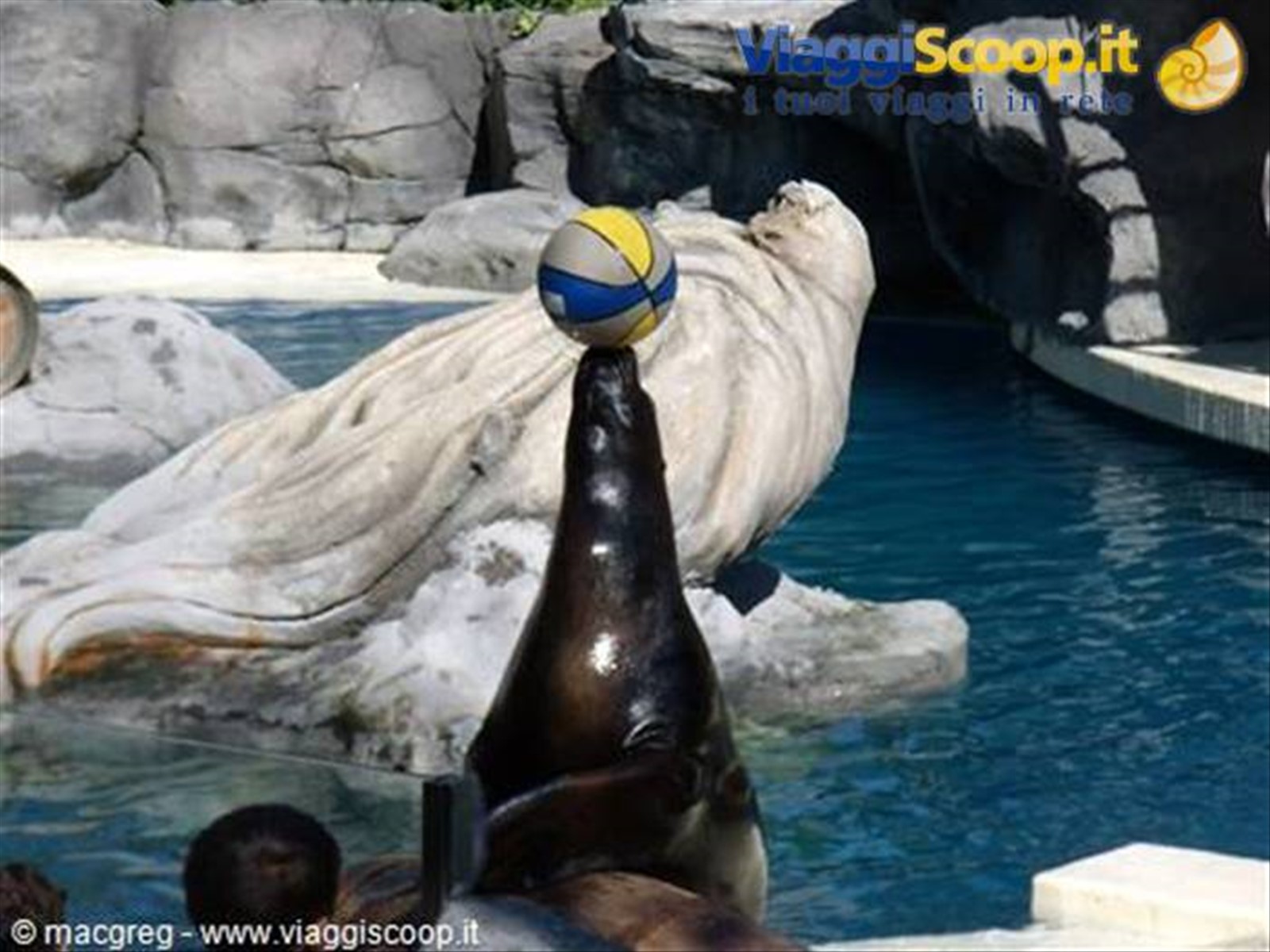 Zoo Acquario