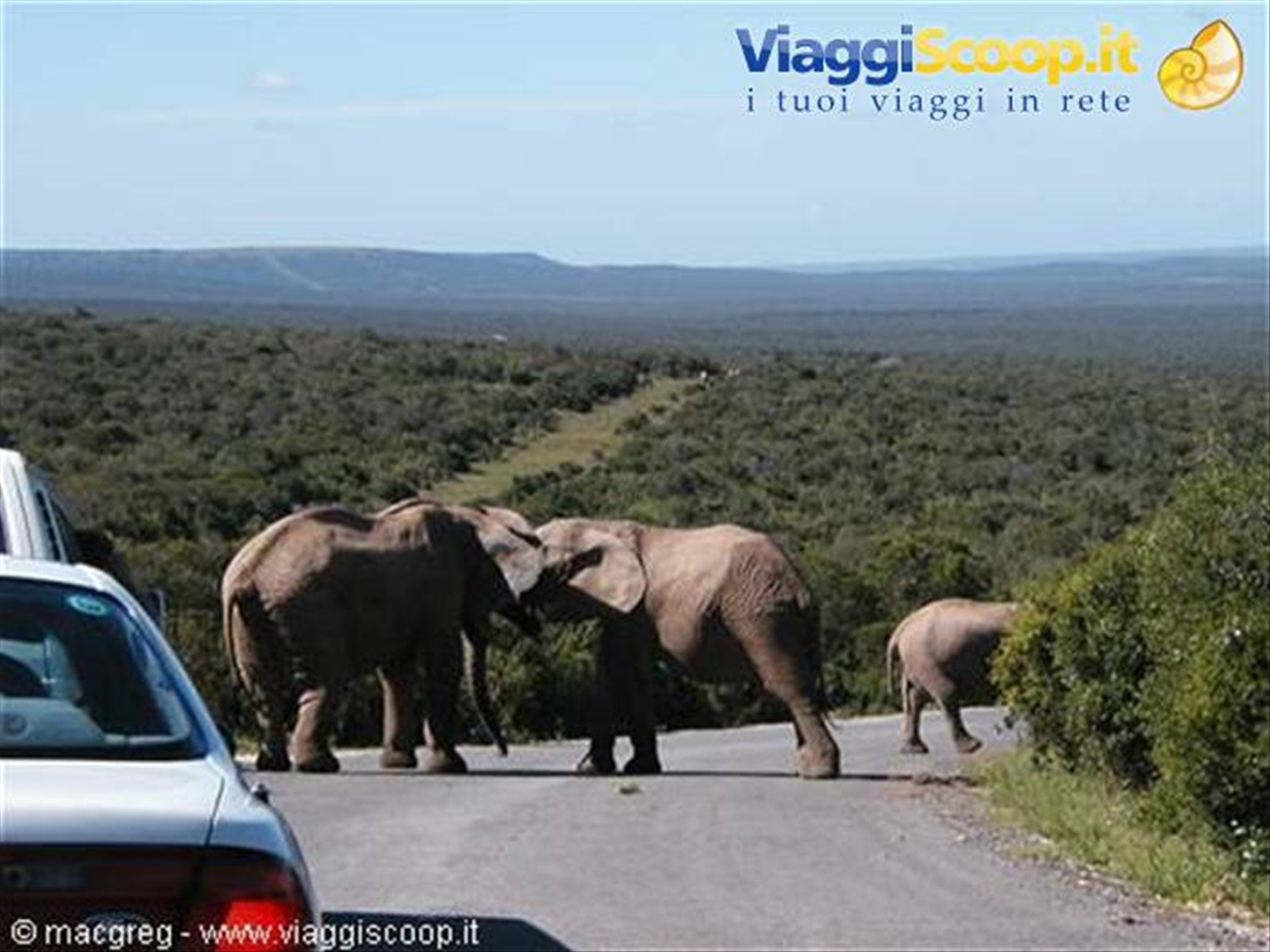 Addo NP