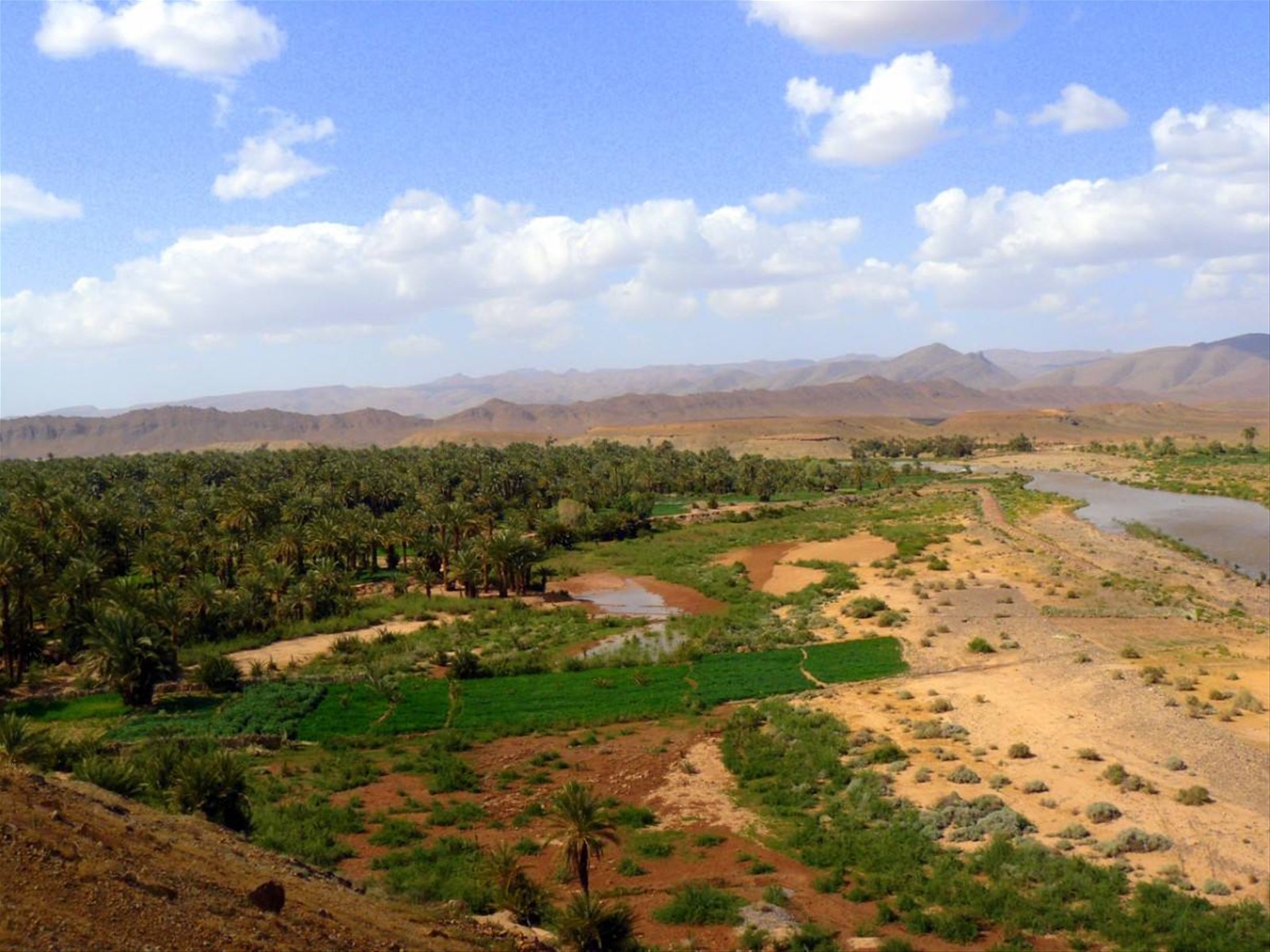 Valle del Draa,
