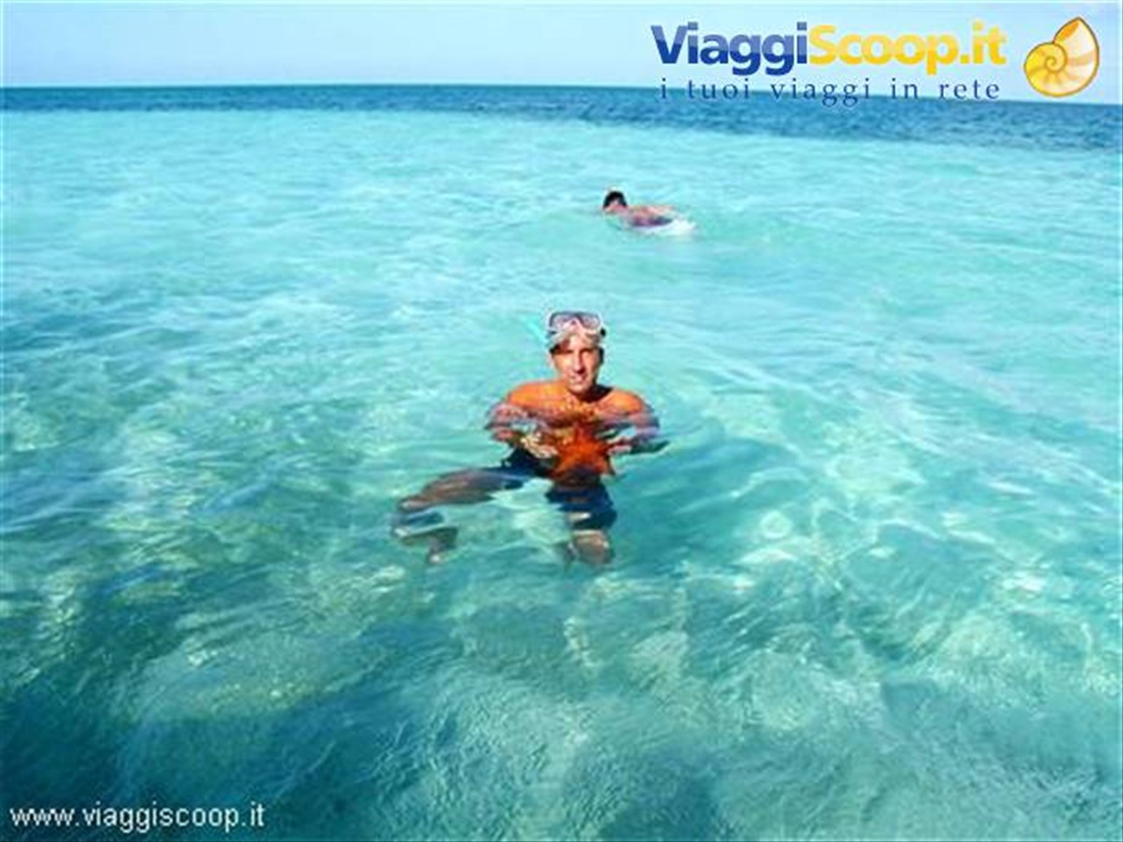 Isola di Saona, stelle marine