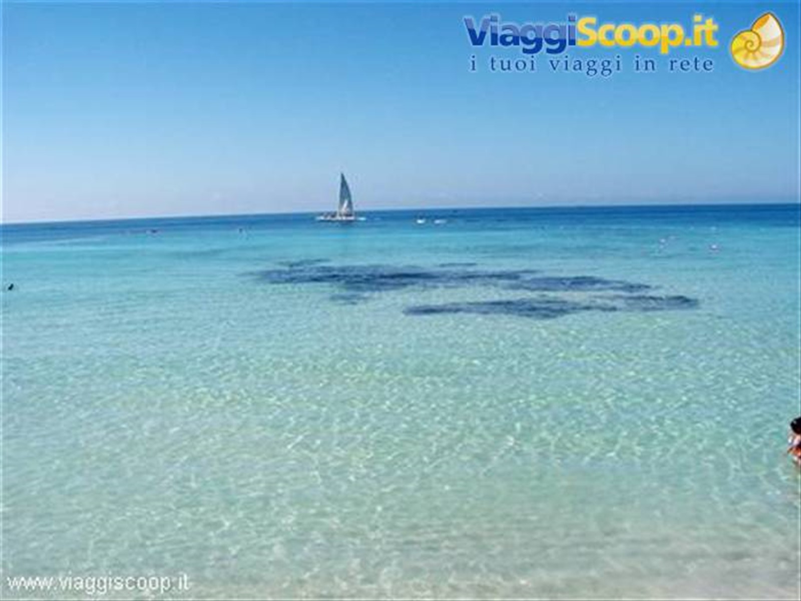 Viva Dominicus Beach