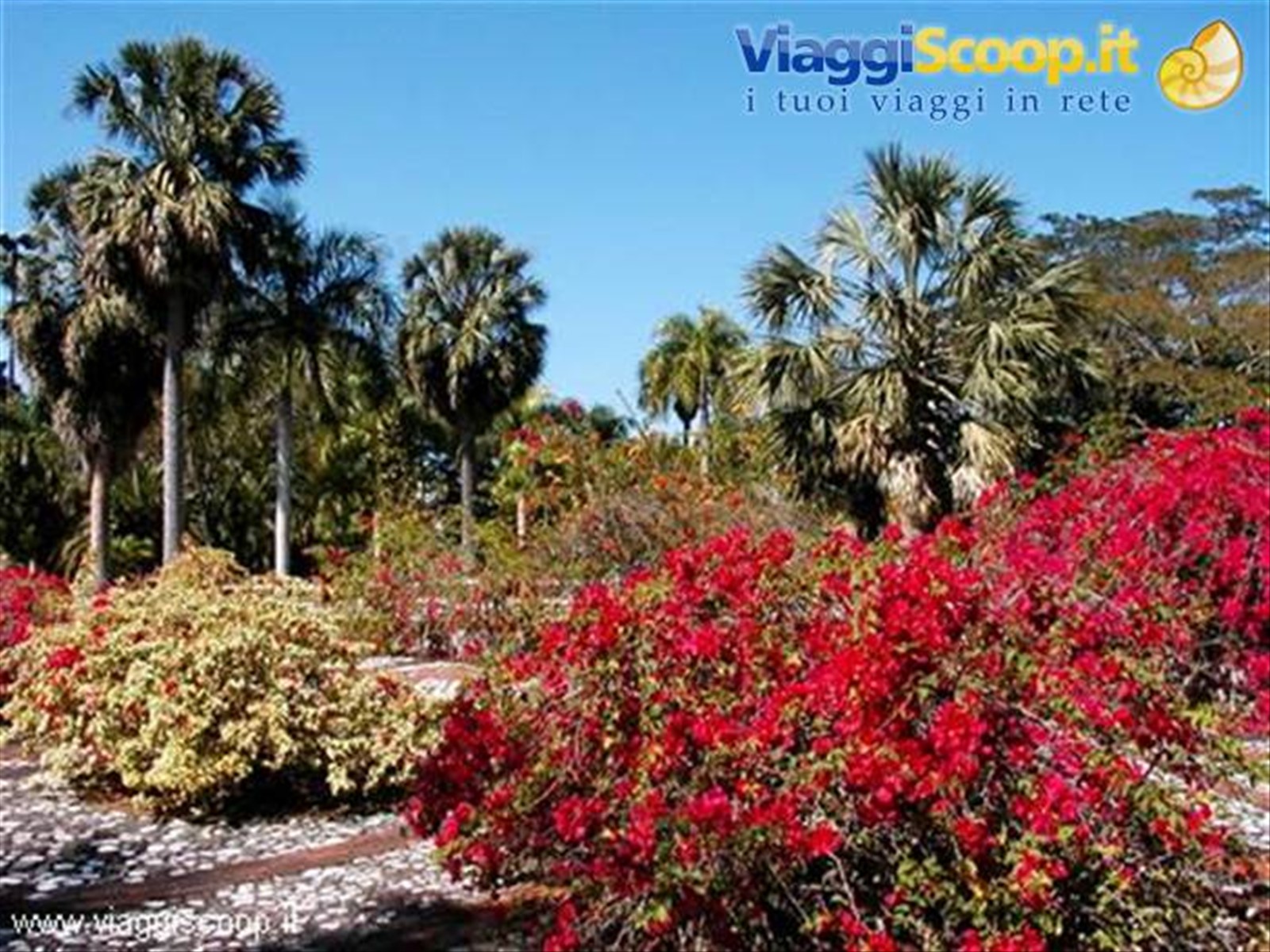 Santo Domingo - Giardino Botanico