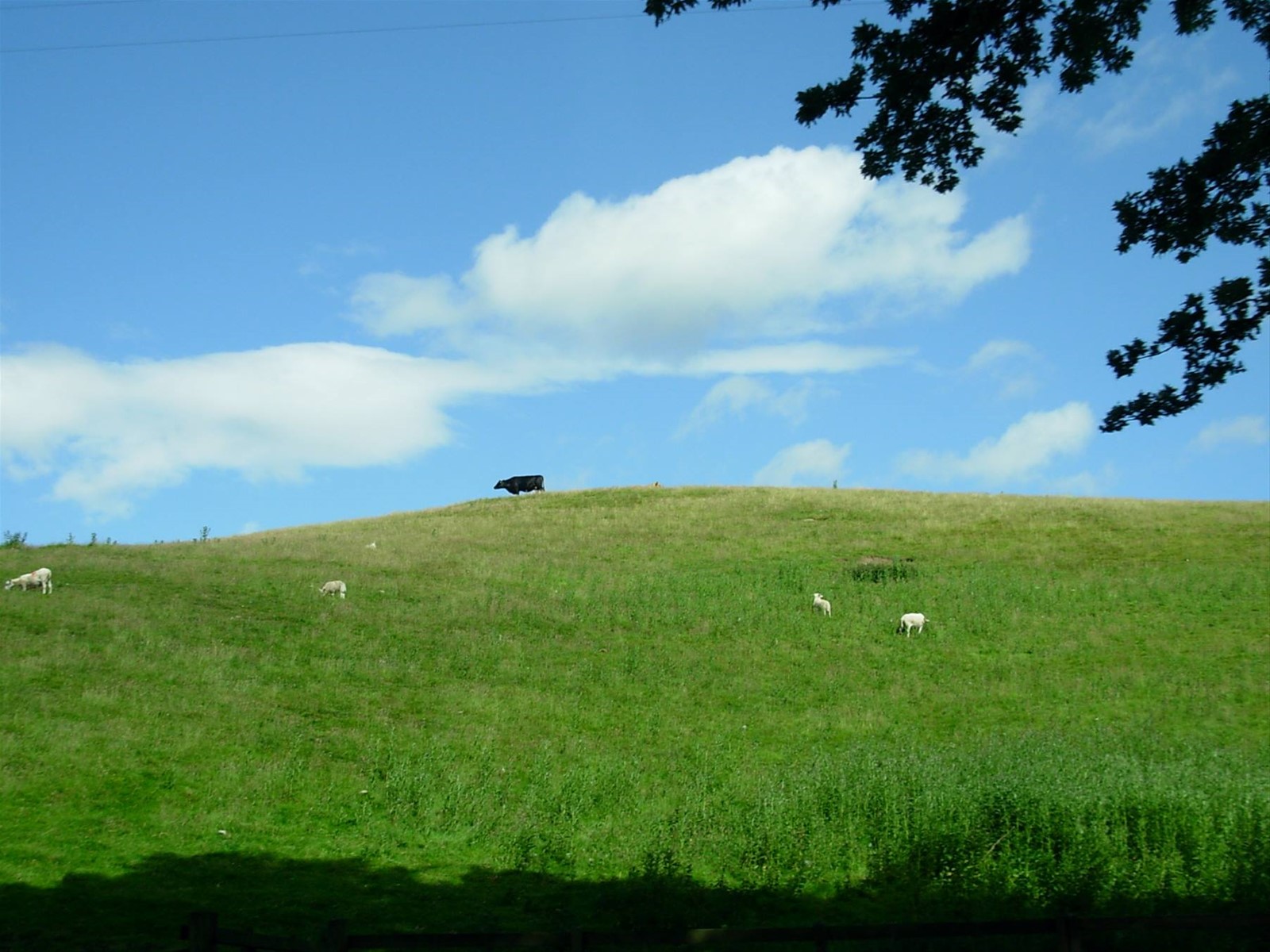 Highlands