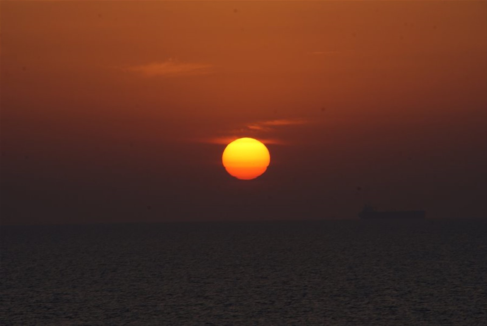 Foto di viaggio in EMIRATI ARABI UNITI