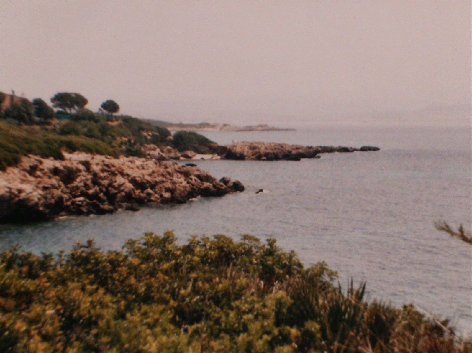 Alghero