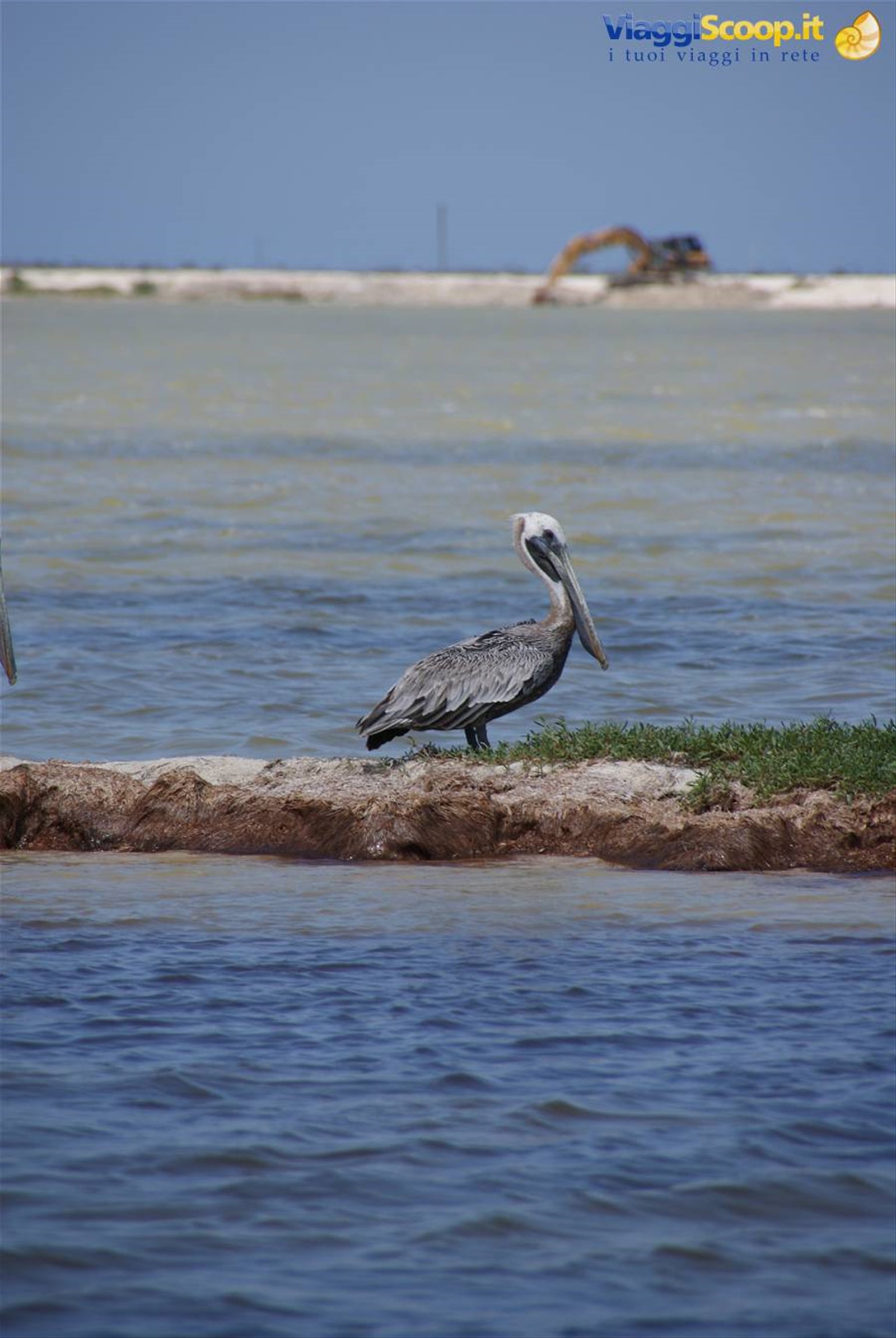 Foto di viaggio in MESSICO