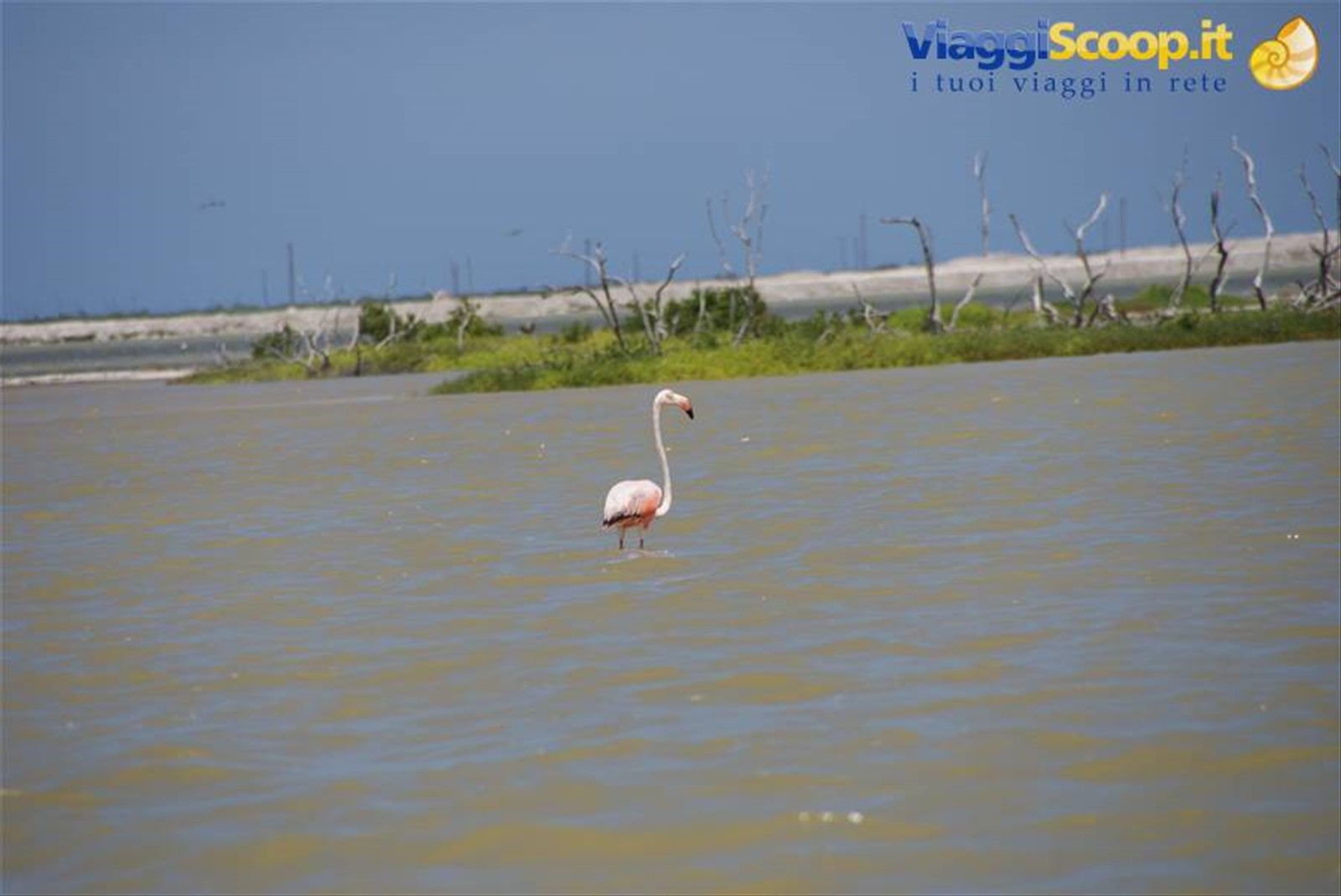 Foto di viaggio in MESSICO
