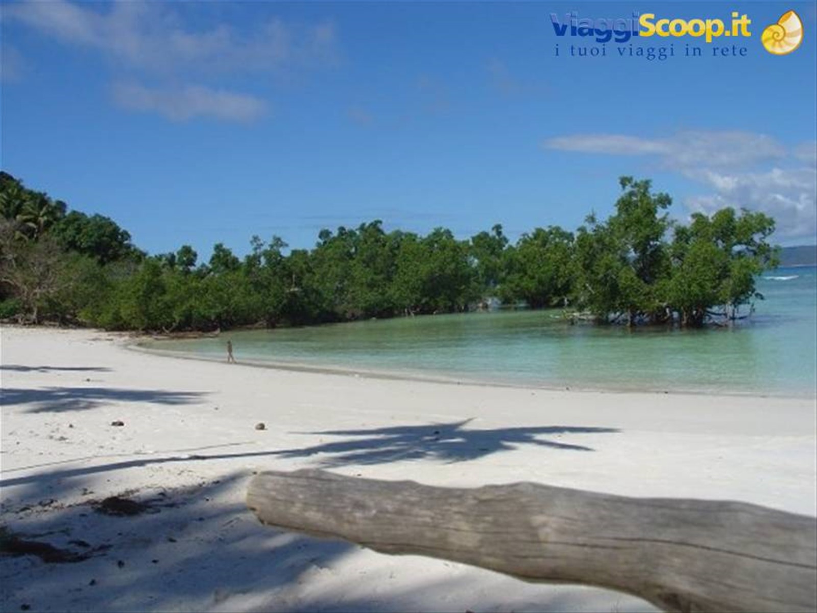 Scorcio su foresta di mangrovie, Nosy Iranja