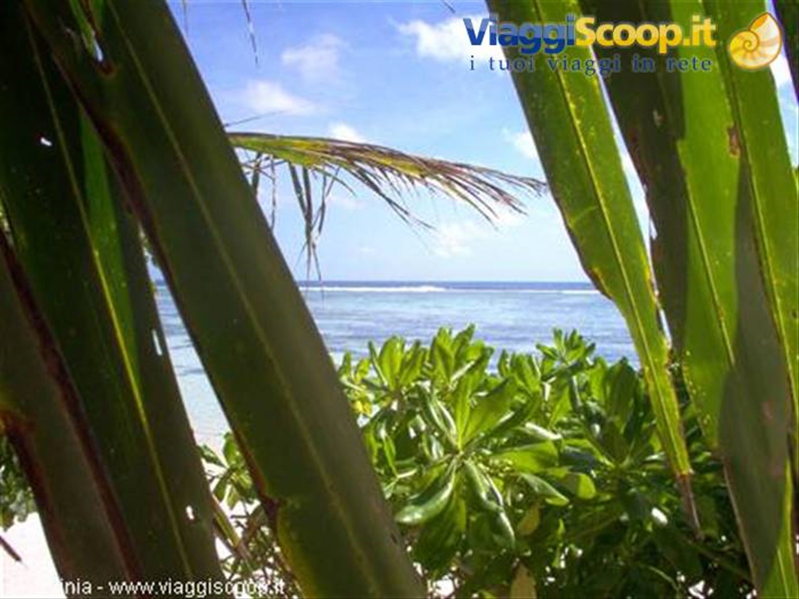 Foto di viaggio in SEYCHELLES