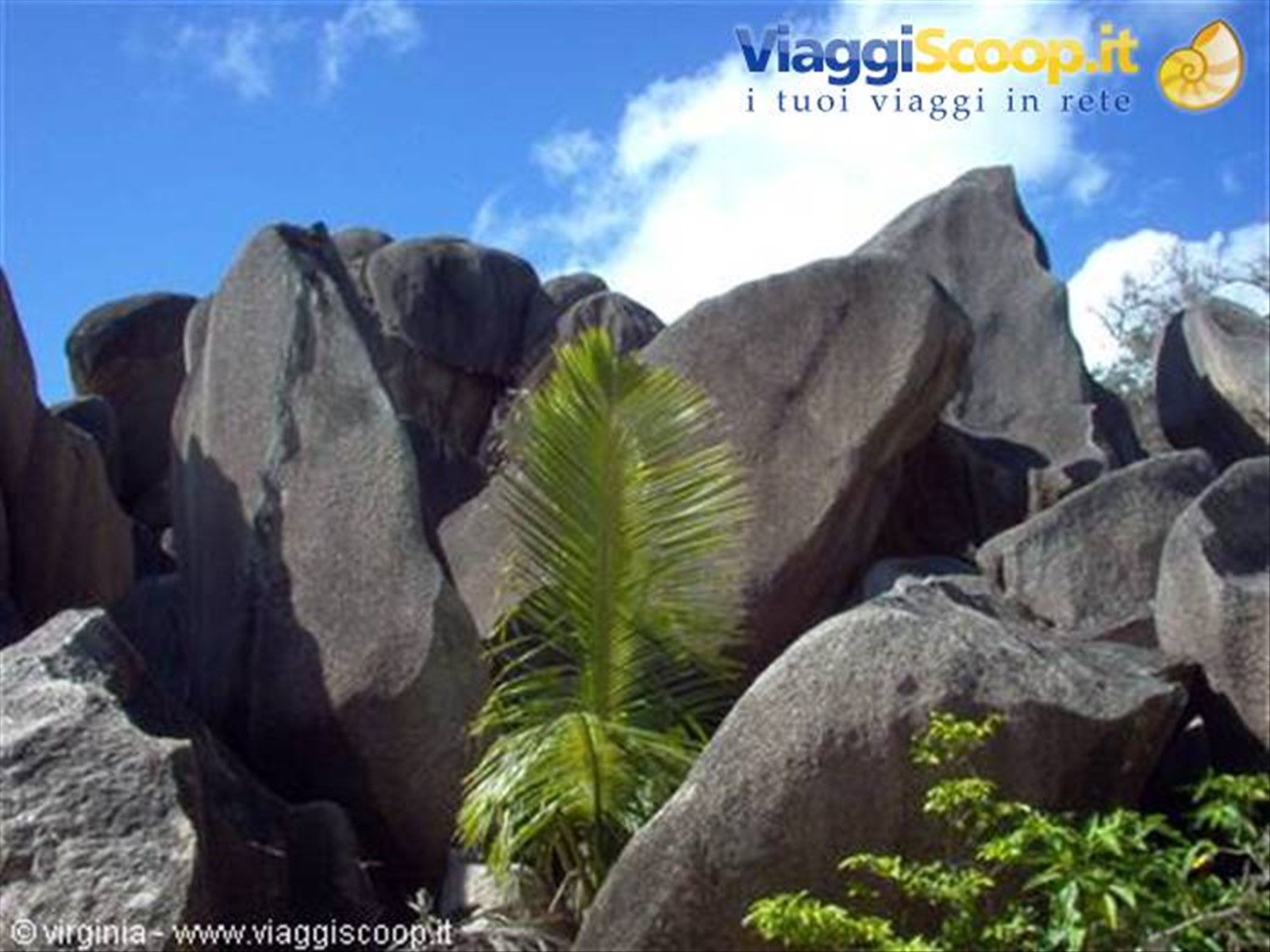 Foto di viaggio in SEYCHELLES