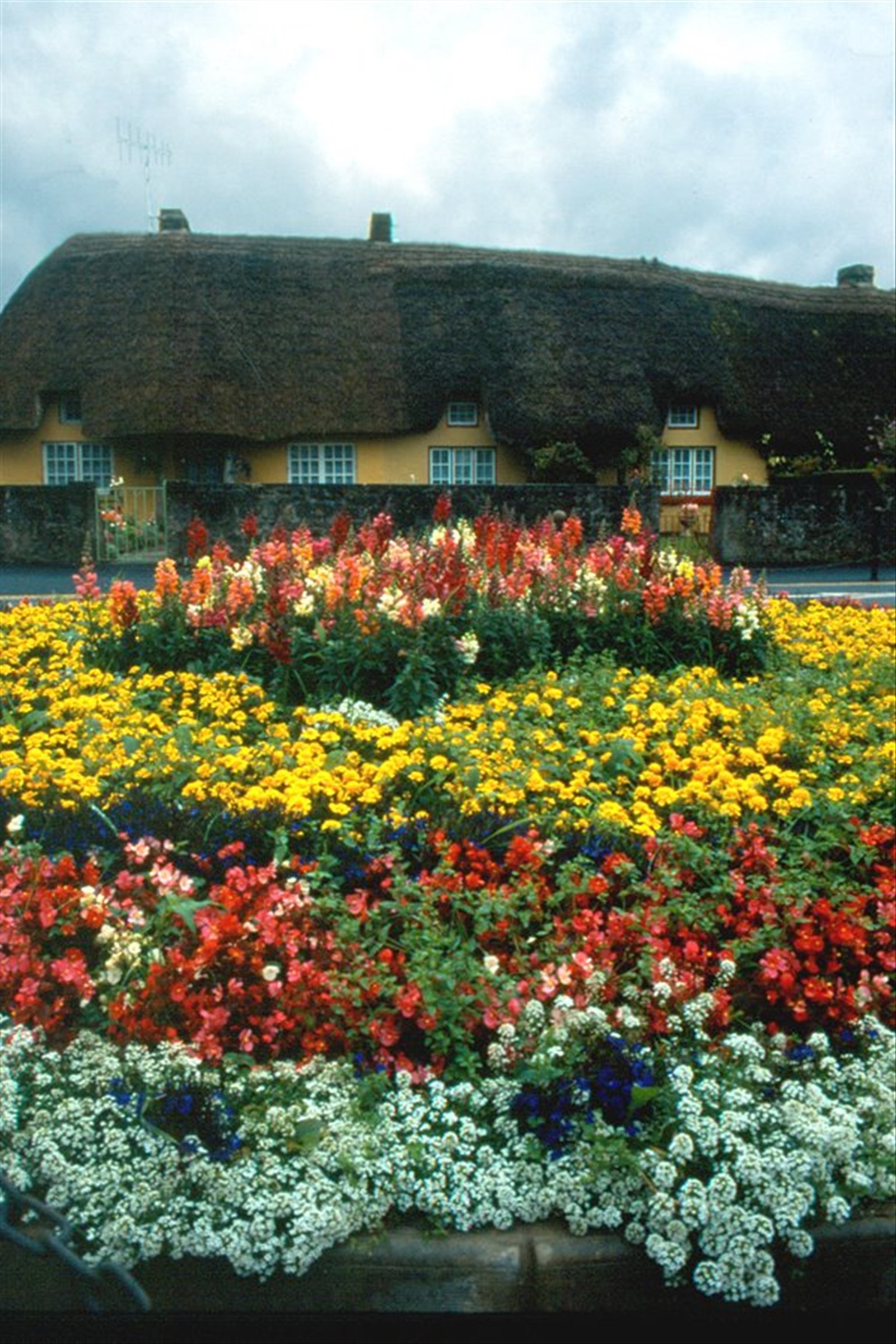 Adare