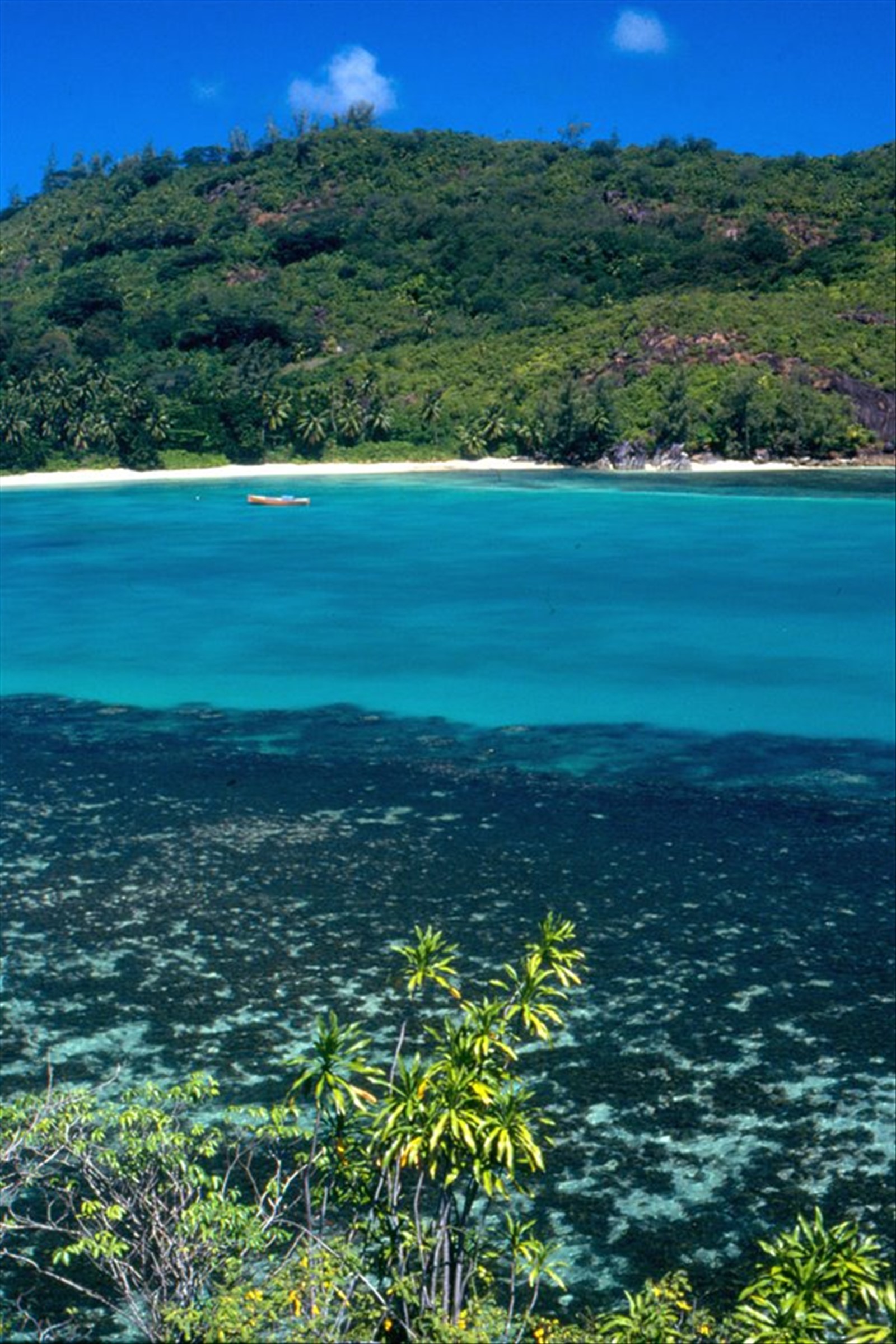 Anse Souillac