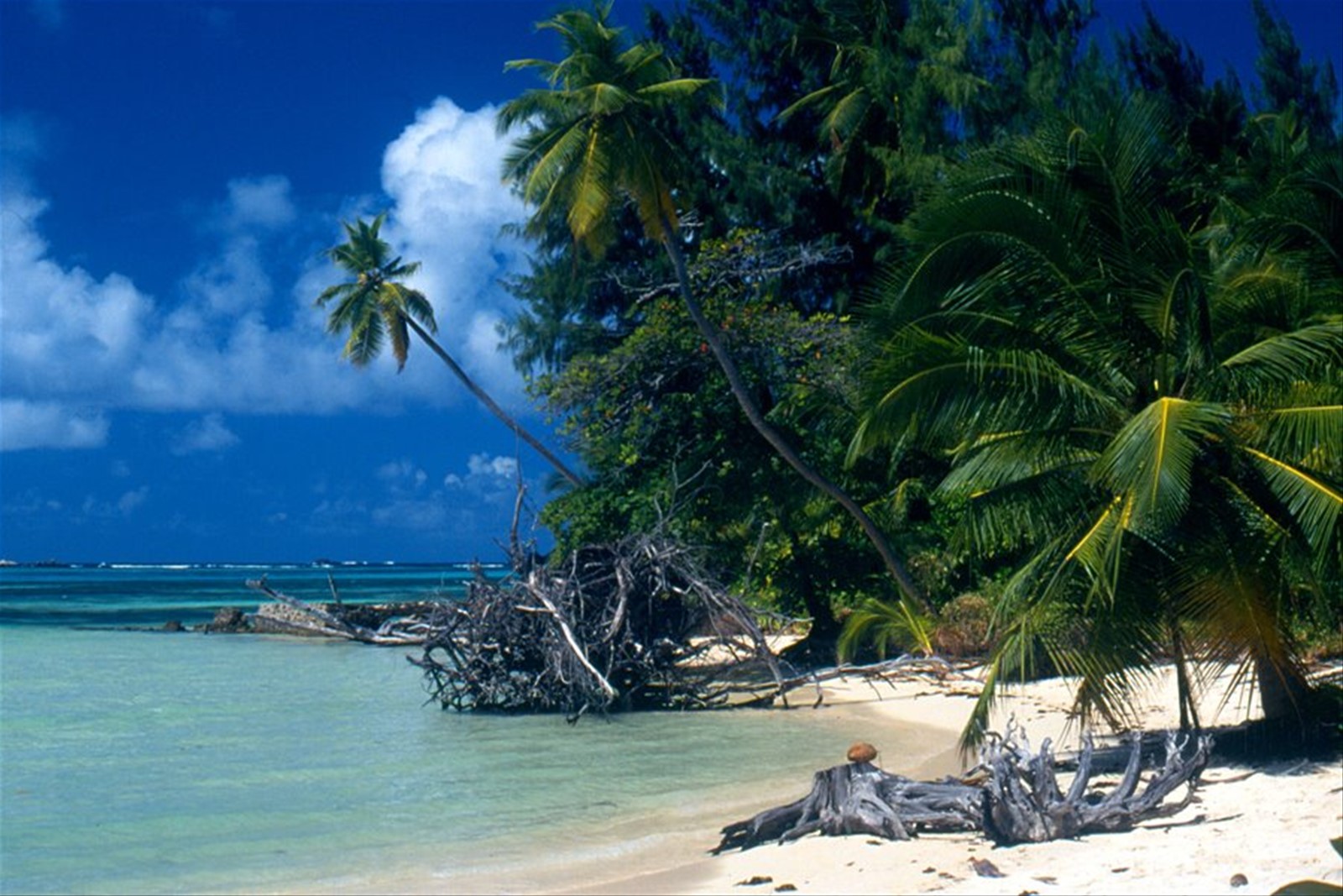Sainte Anne Marine National Park