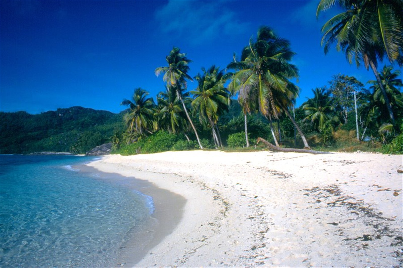 Anse Forbans