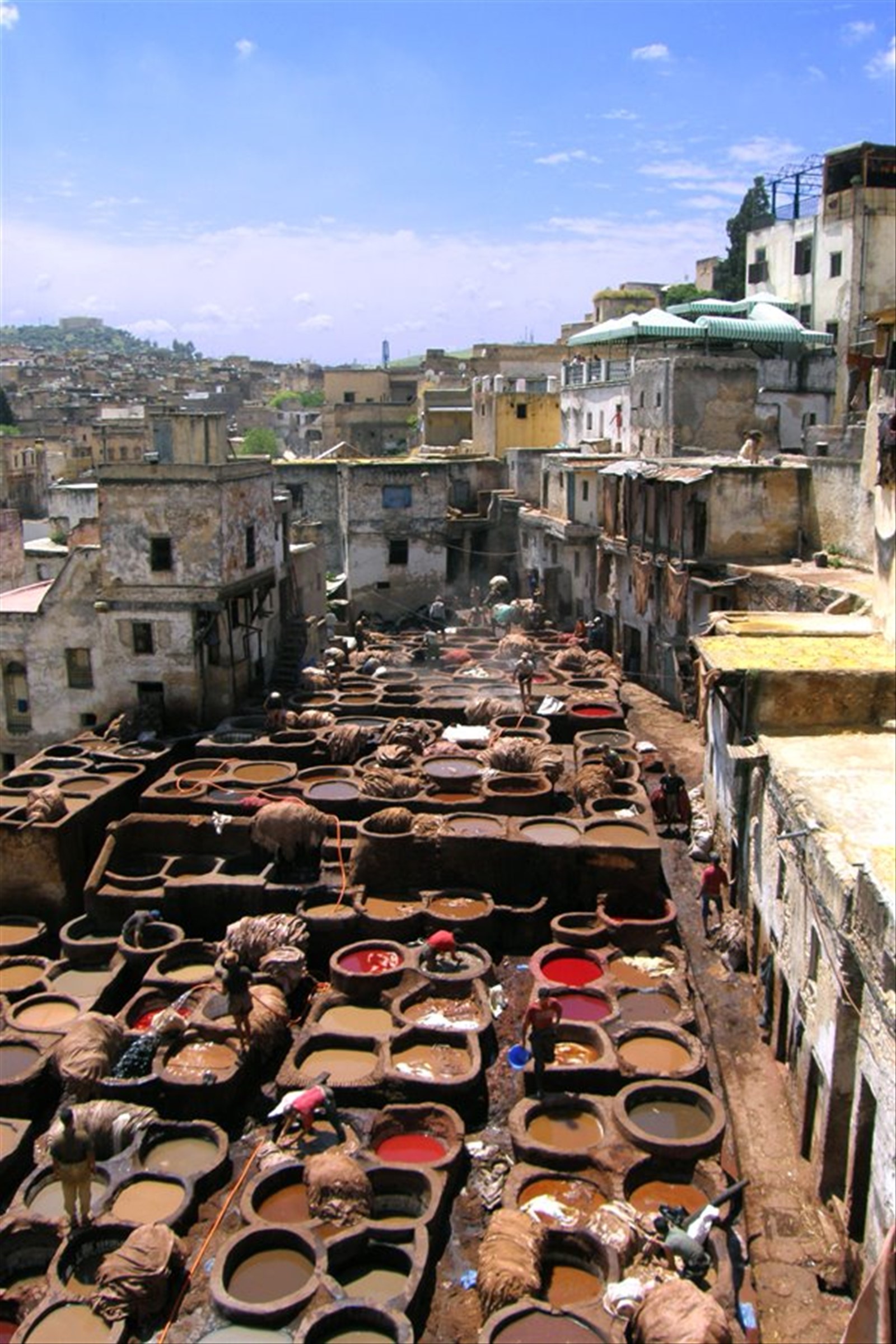 Fes - Concerie Chouara