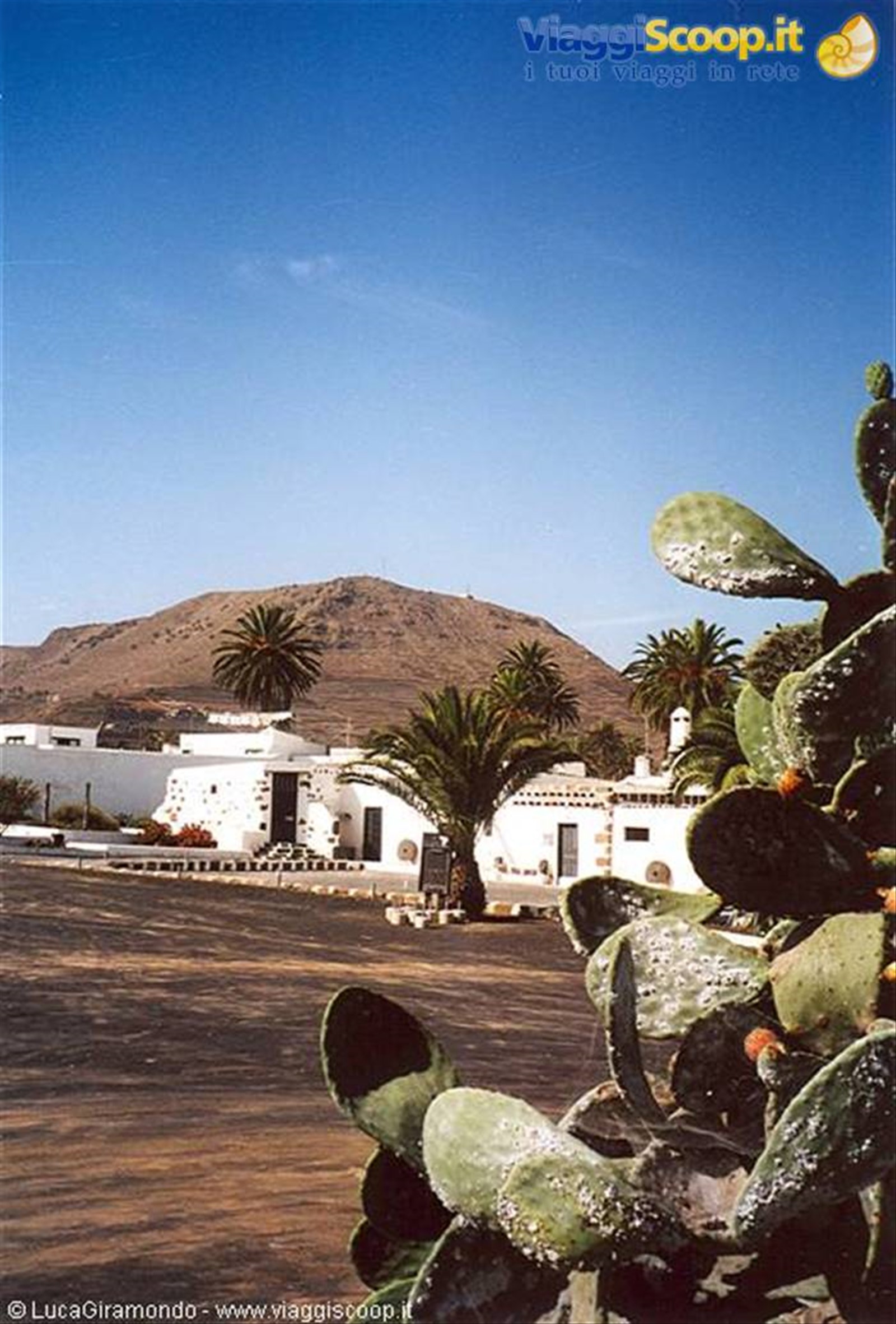 Haria