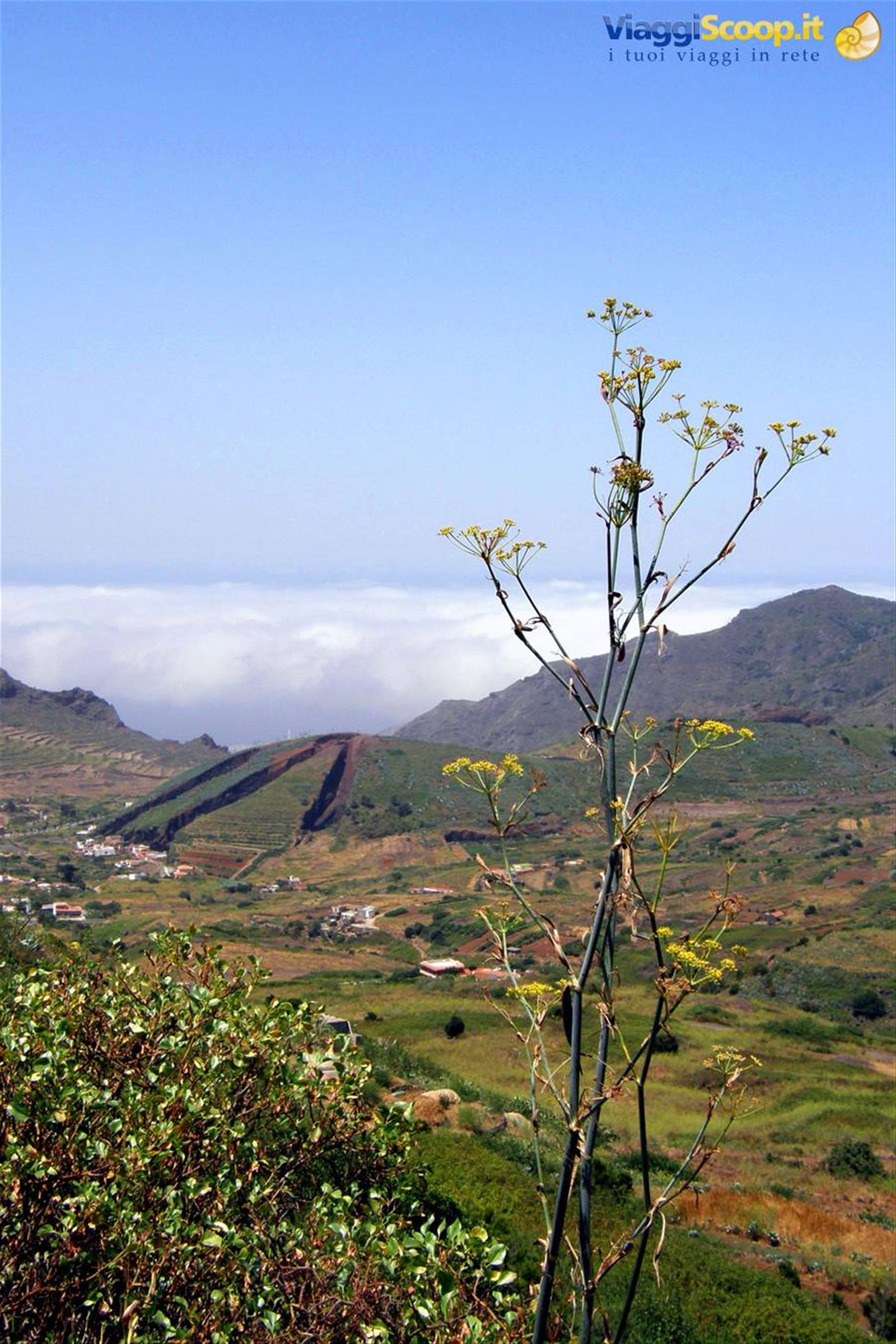 Valle de el Palmar