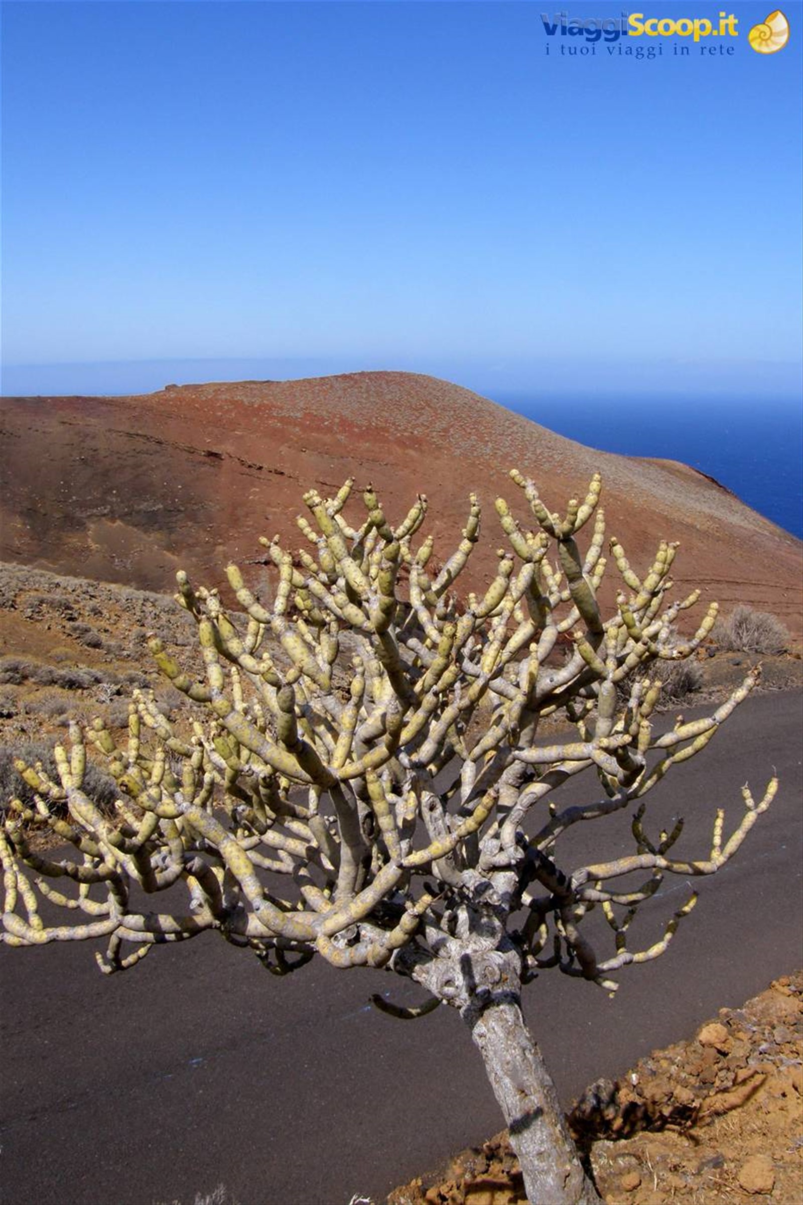 El Sabinar