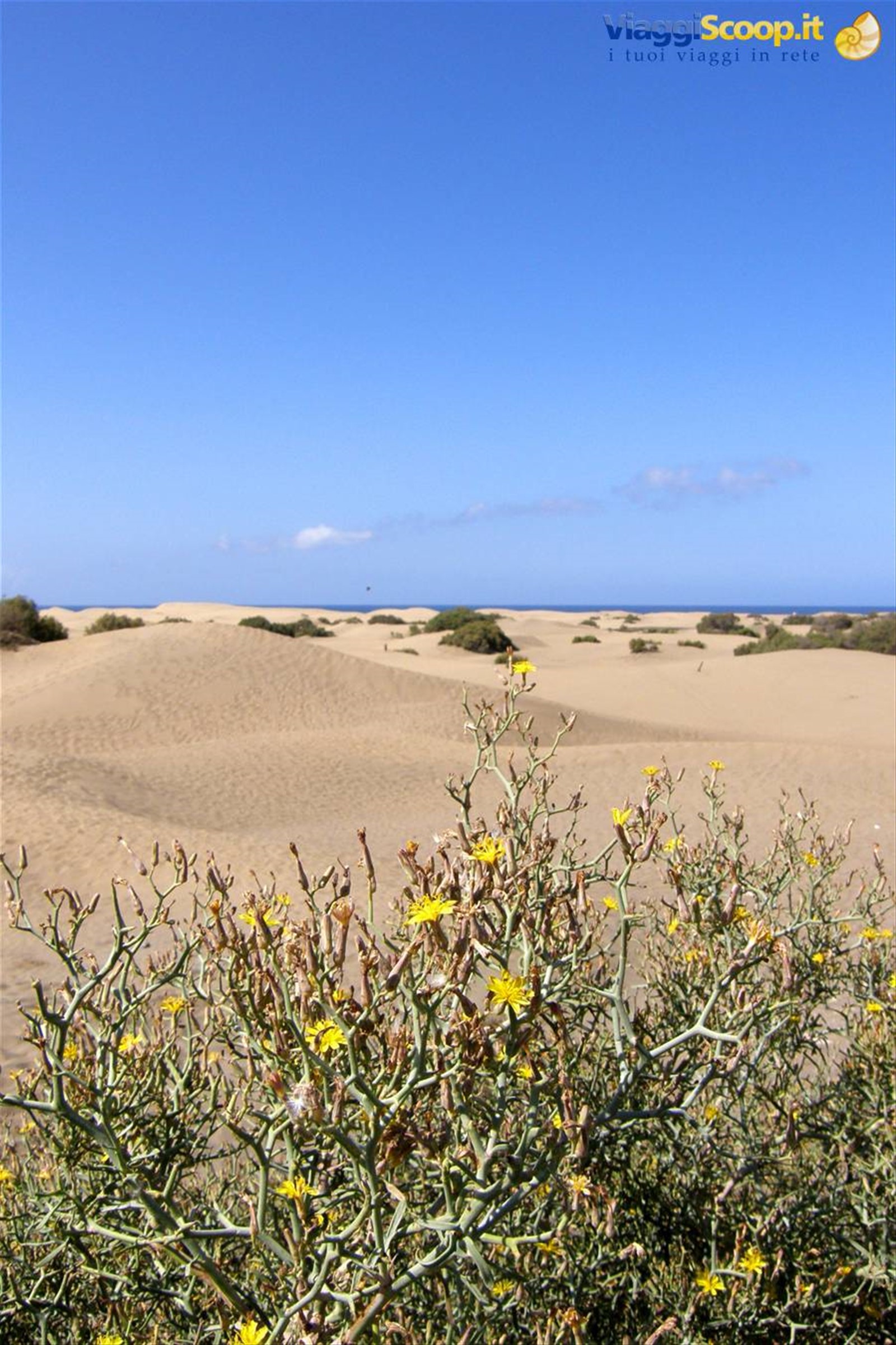 Dune di Maspalomas