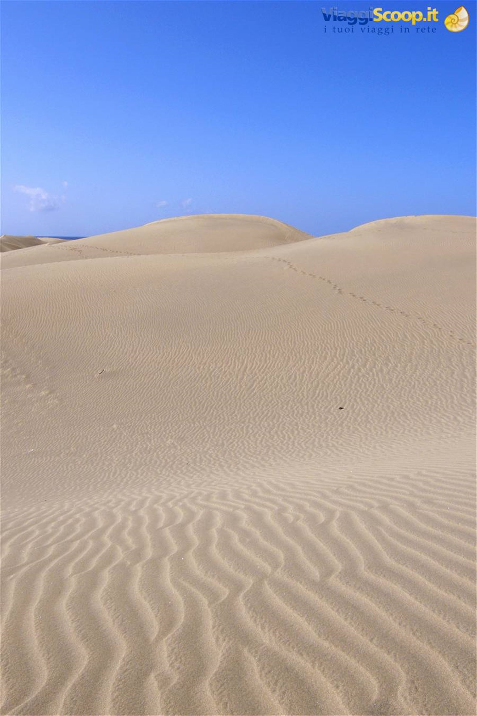 Dune di Maspalomas