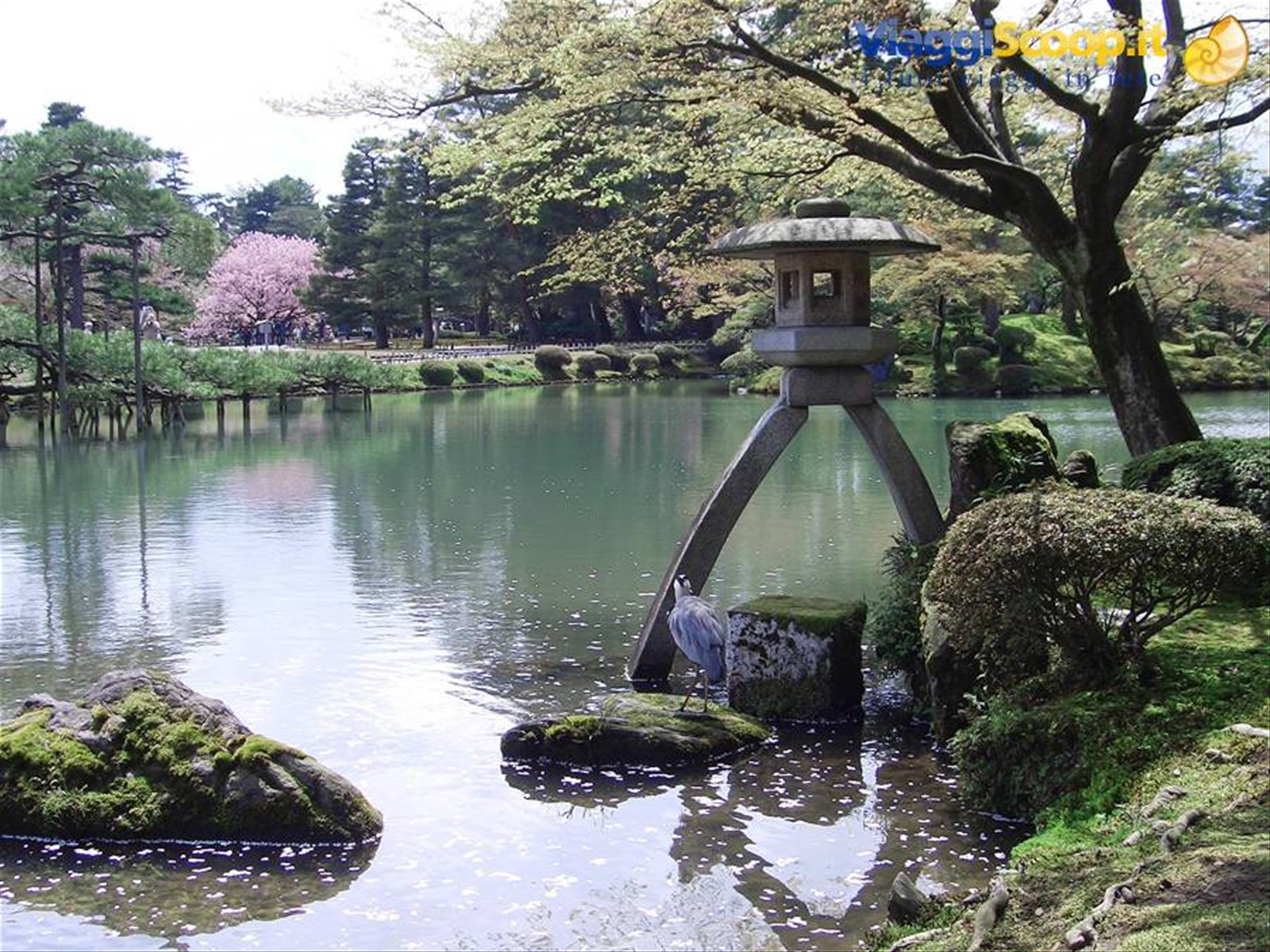Kanazawa o meglio nota come piccola Kyoto..il bellissimo giardino Kenroku en