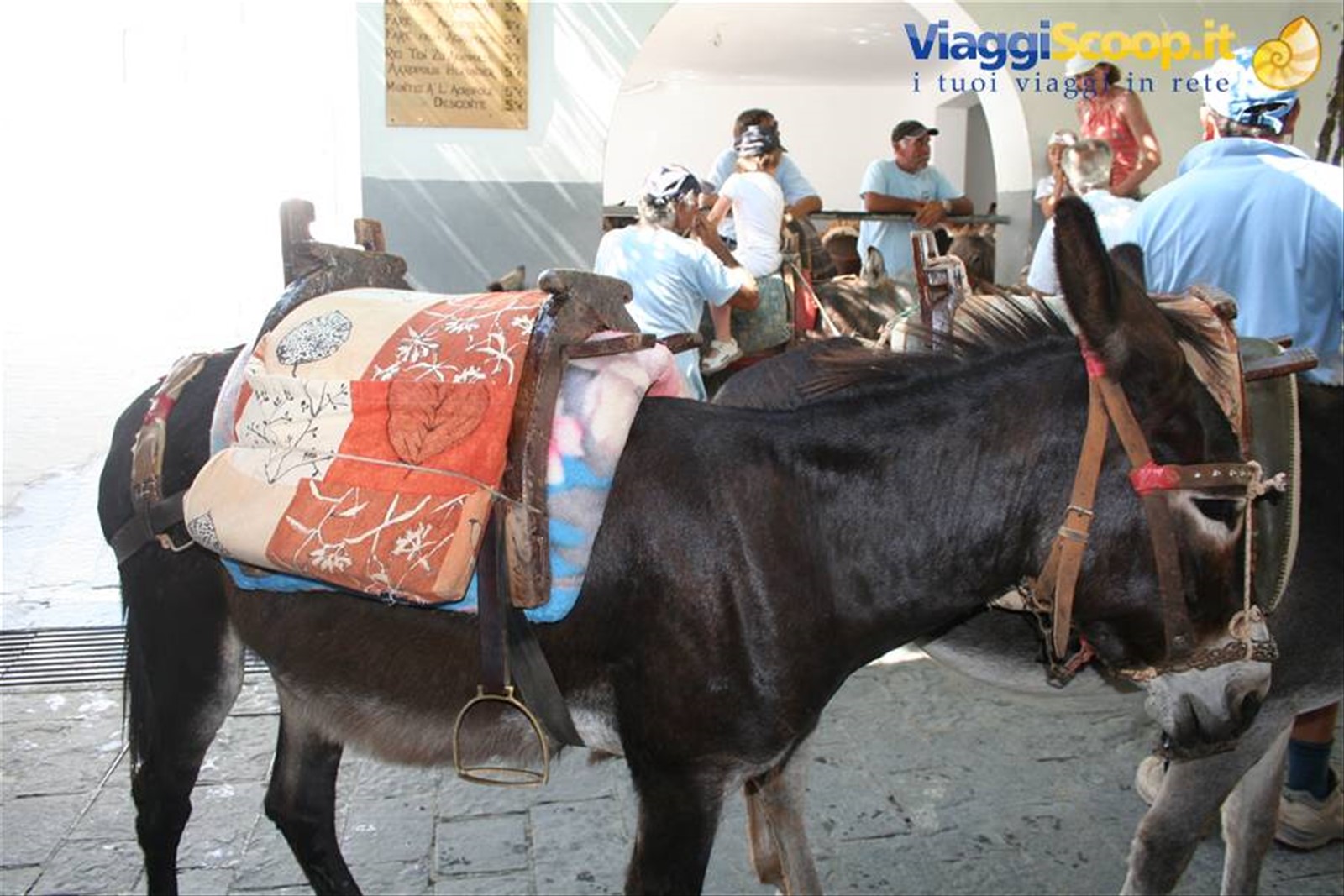 Foto di viaggio in GRECIA