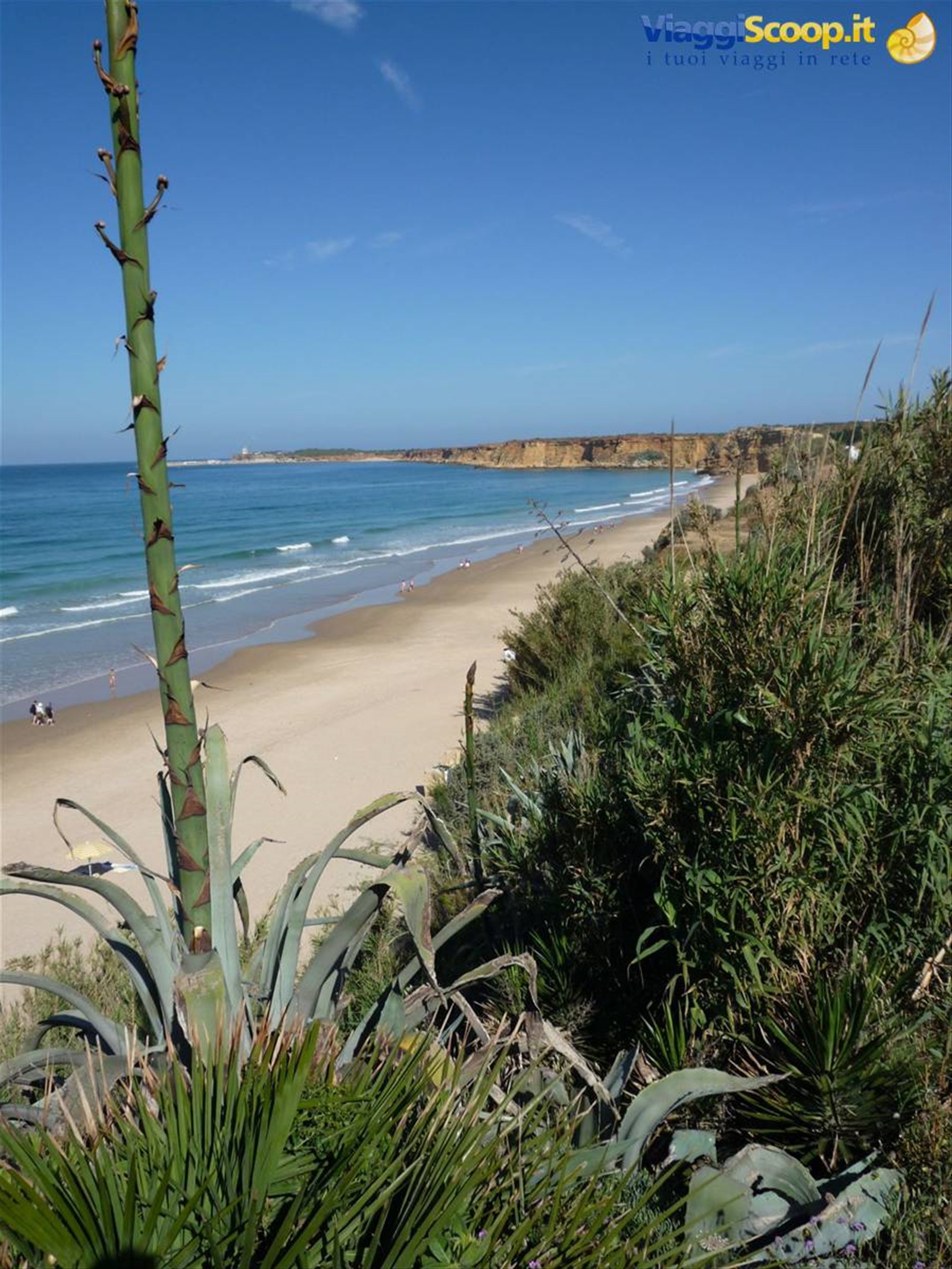 Scorcio sulla spiaggia di Conil de la Frontera