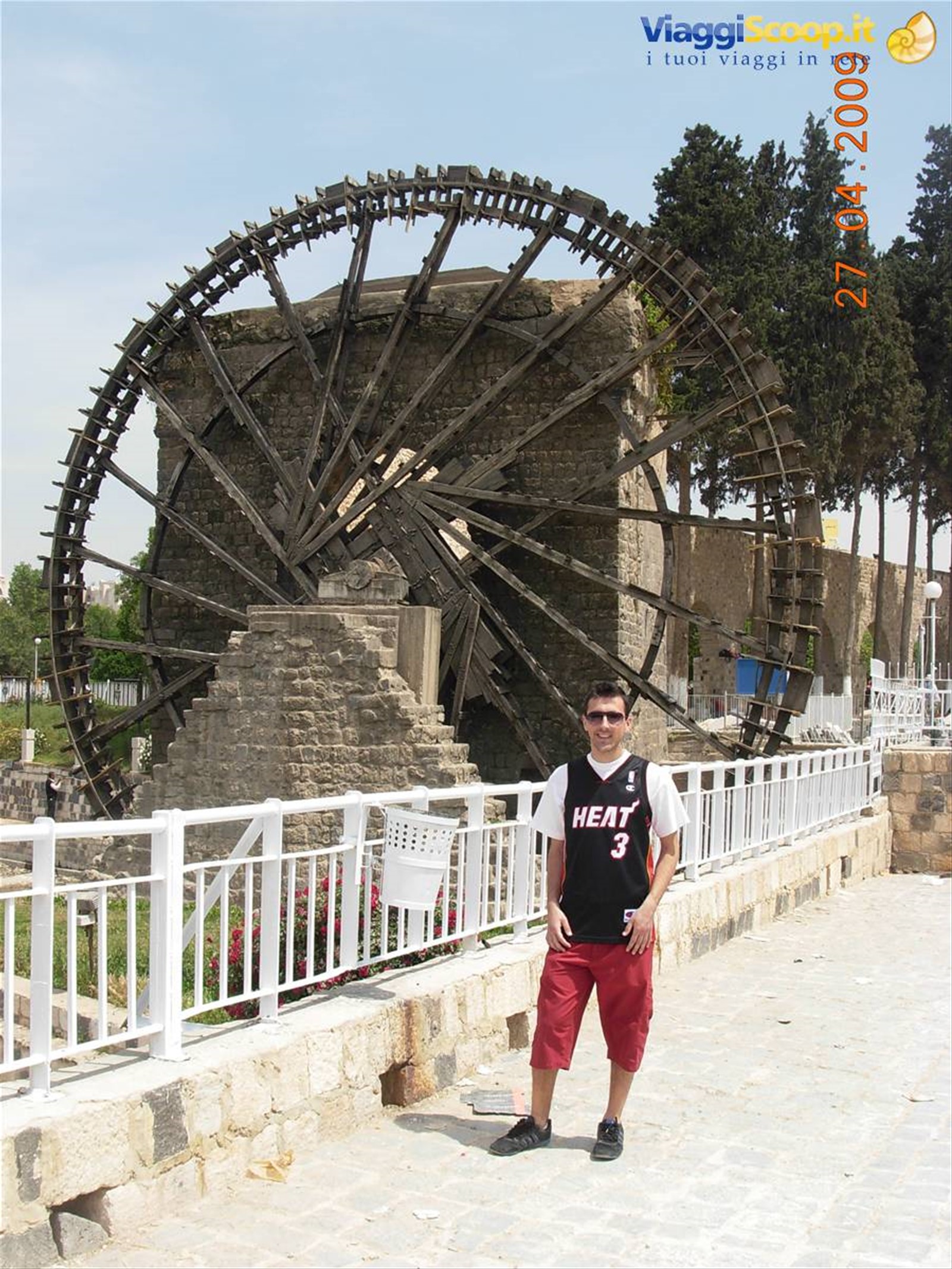 Hama - norie