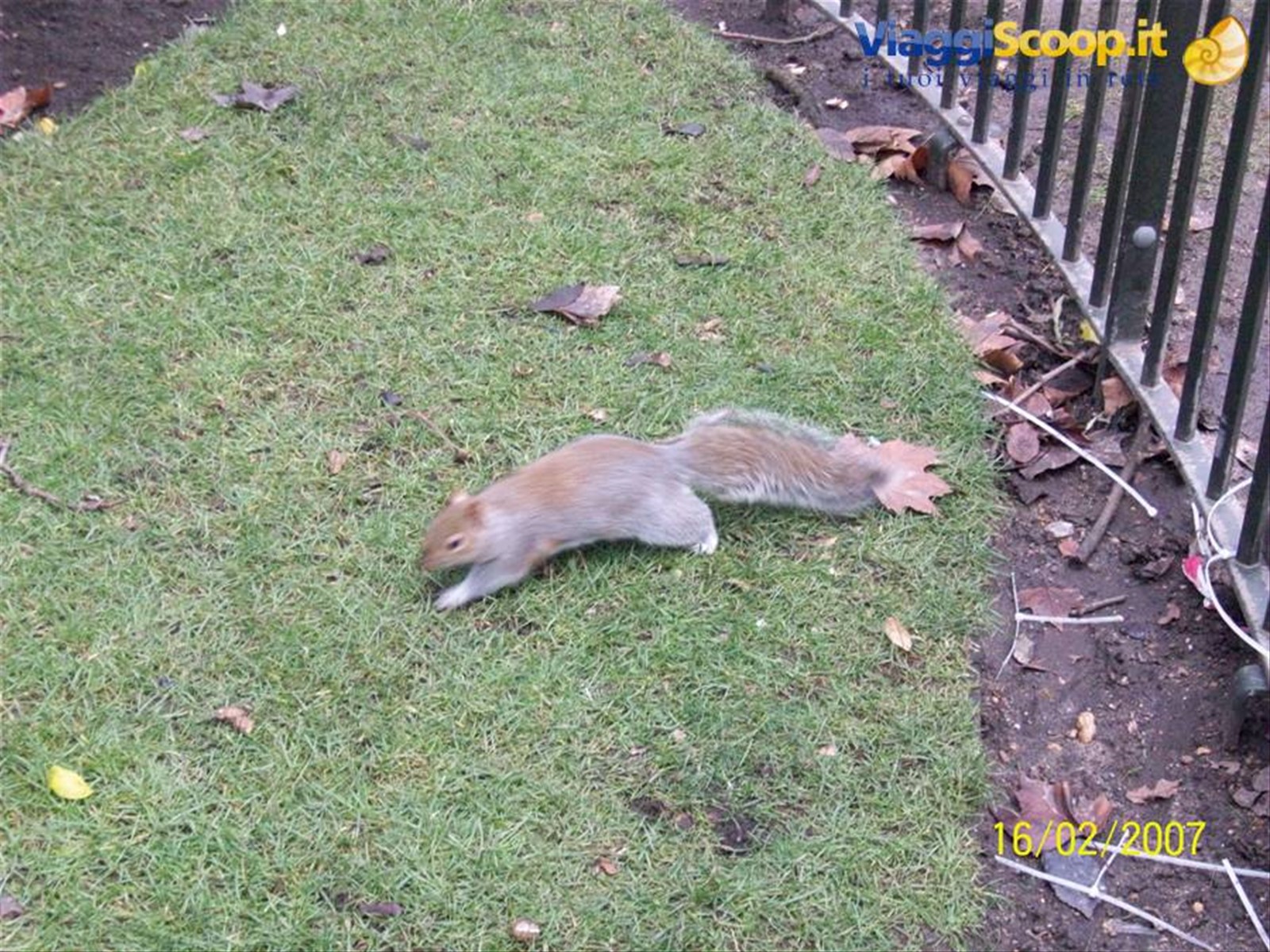 Londra - Regent Park