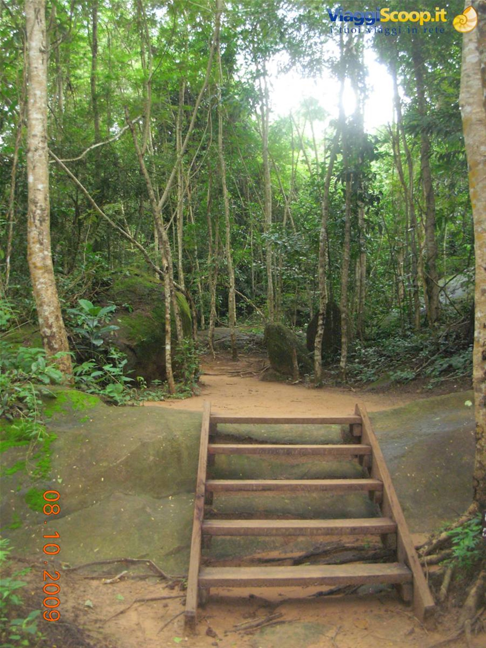 Siem Reap - foresta