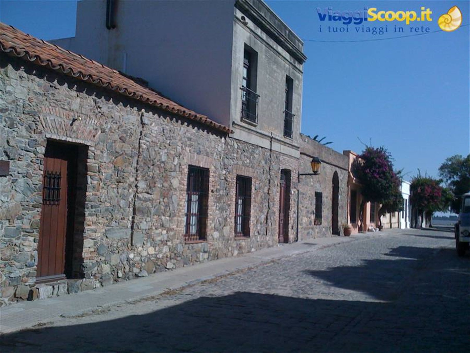 colonia