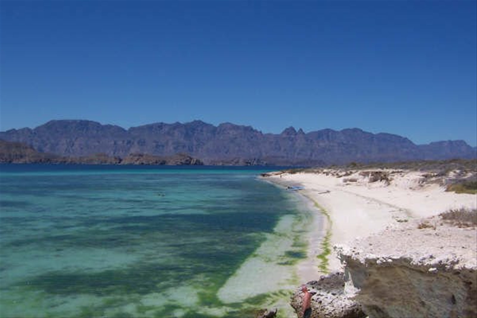 Baja Vista