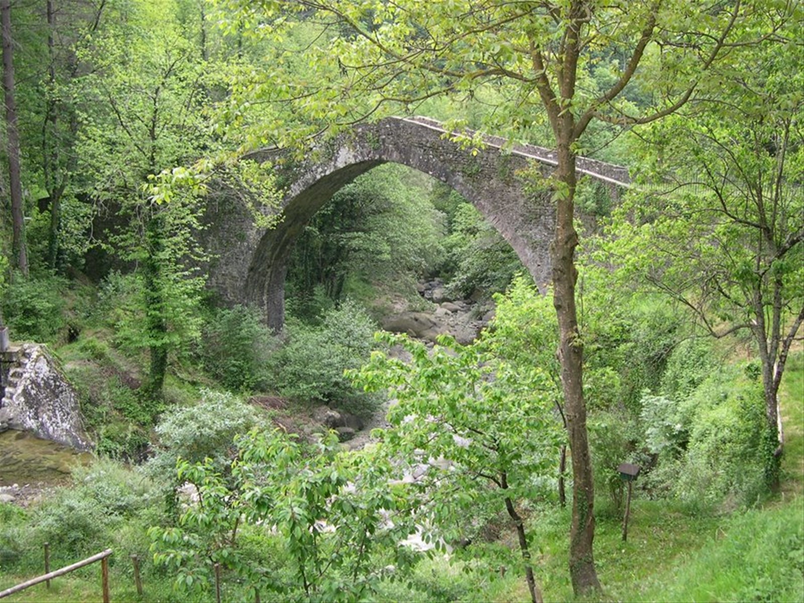 Castiglione ponte medievale