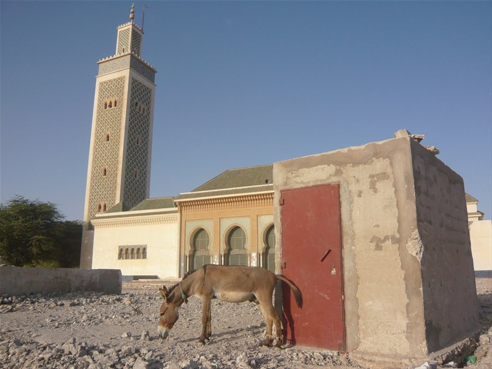 mosquea Marocchina