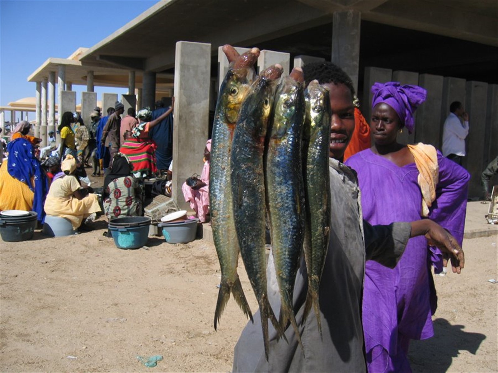 Foto di viaggio in MAURITANIA